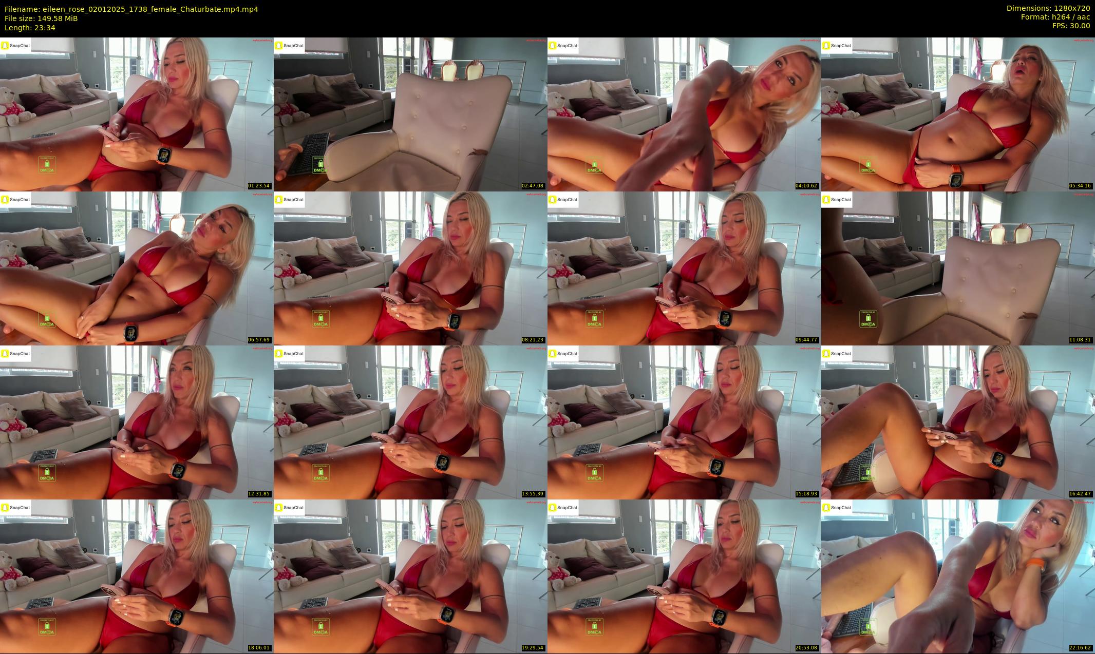 eileen_rose — 24 minute Chaturbate female cam show recording, 720p, Jan 2, 2025