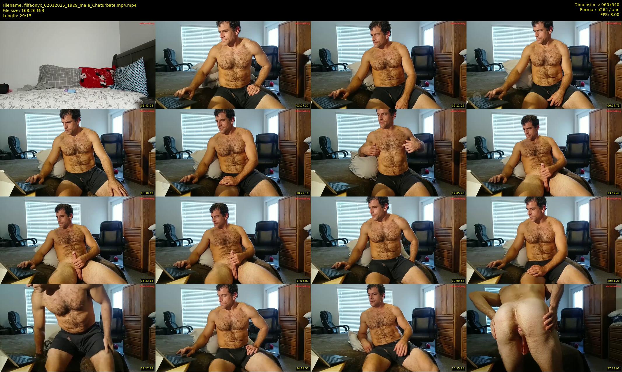 filfaonyx — 30 minute Chaturbate male cam show recording, 480p, Jan 2, 2025
