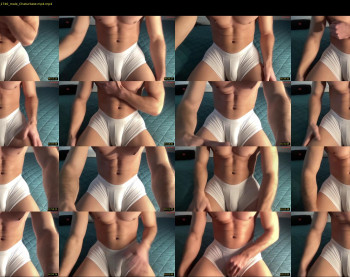 bestdick1991 — 4 minute Chaturbate male cam show recording, 720p, Jan 3, 2025