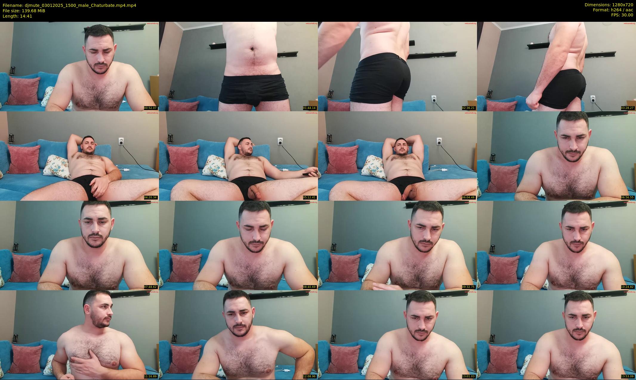 djmute — 15 minute Chaturbate male cam show recording, 720p, Jan 3, 2025