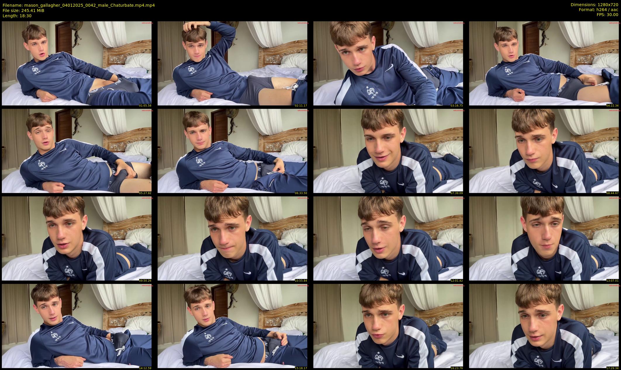 mason_gallagher — 19 minute Chaturbate male cam show recording, 720p, Jan 4, 2025