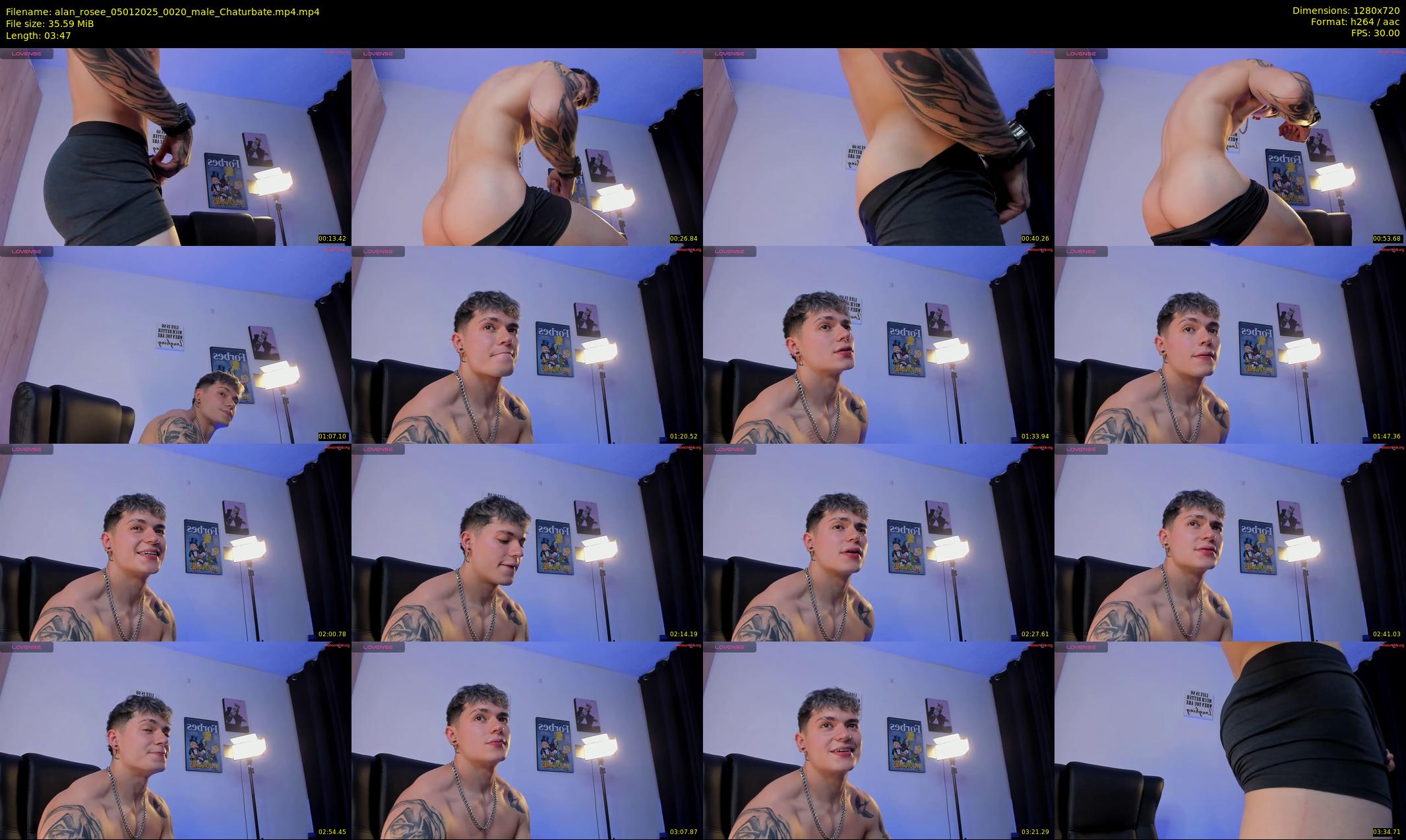 alan_rosee — 4 minute Chaturbate male cam show recording, 720p, Jan 5, 2025