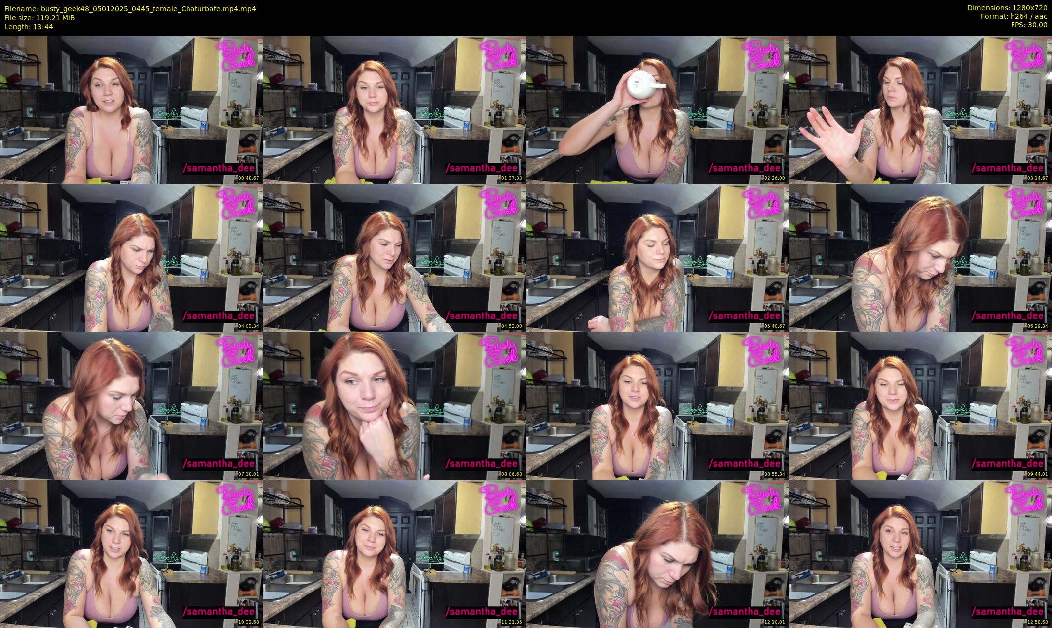 busty_geek48 — 14 minute Chaturbate female cam show recording, 720p, Jan 5, 2025