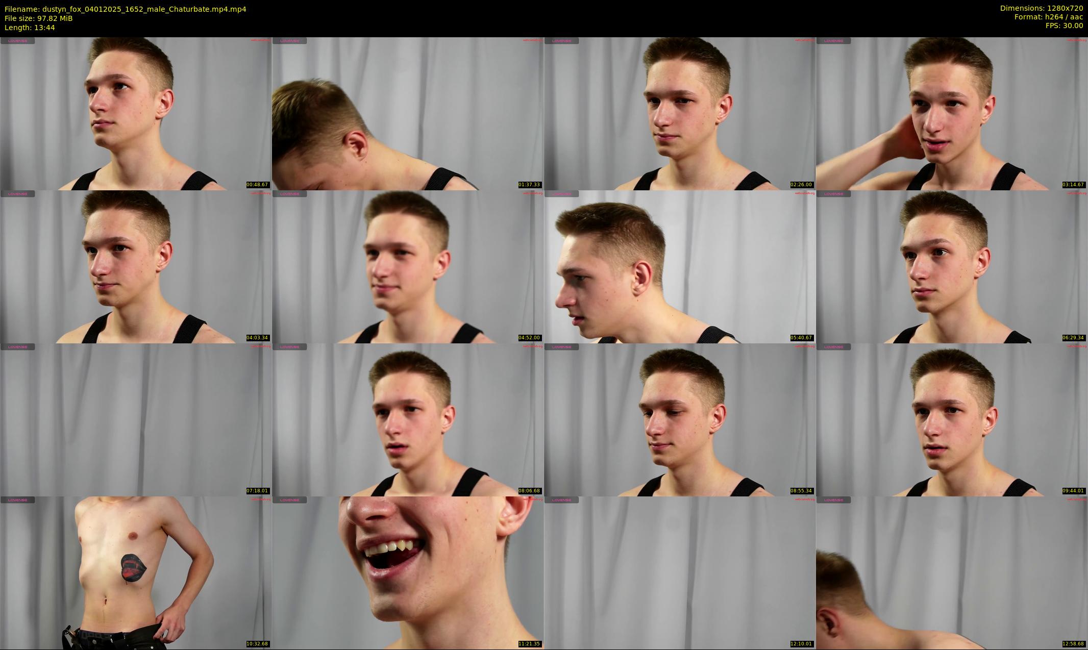 dustyn_fox — 14 minute Chaturbate male cam show recording, 720p, Jan 4, 2025