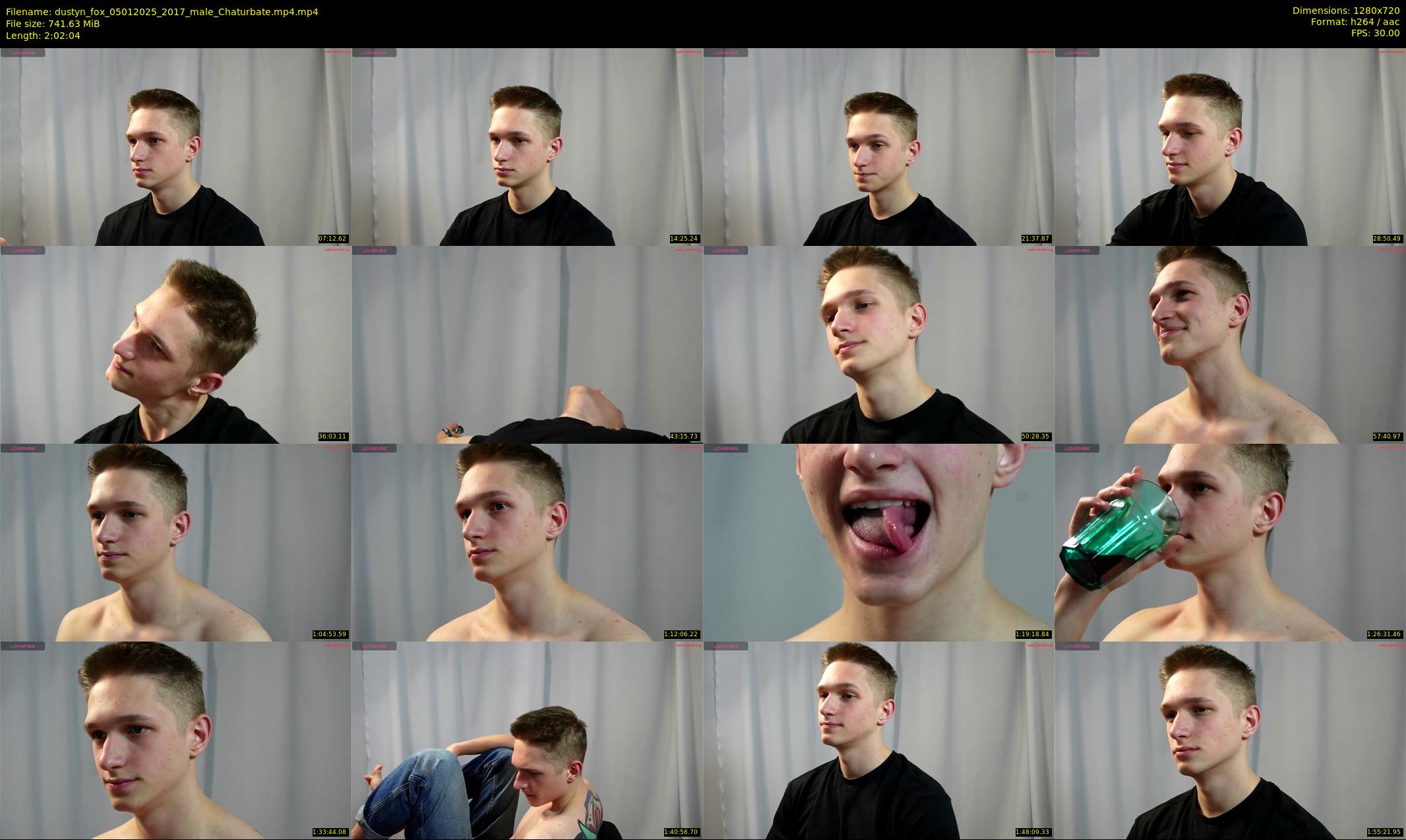 dustyn_fox — 123 minute Chaturbate male cam show recording, 720p, Jan 5, 2025