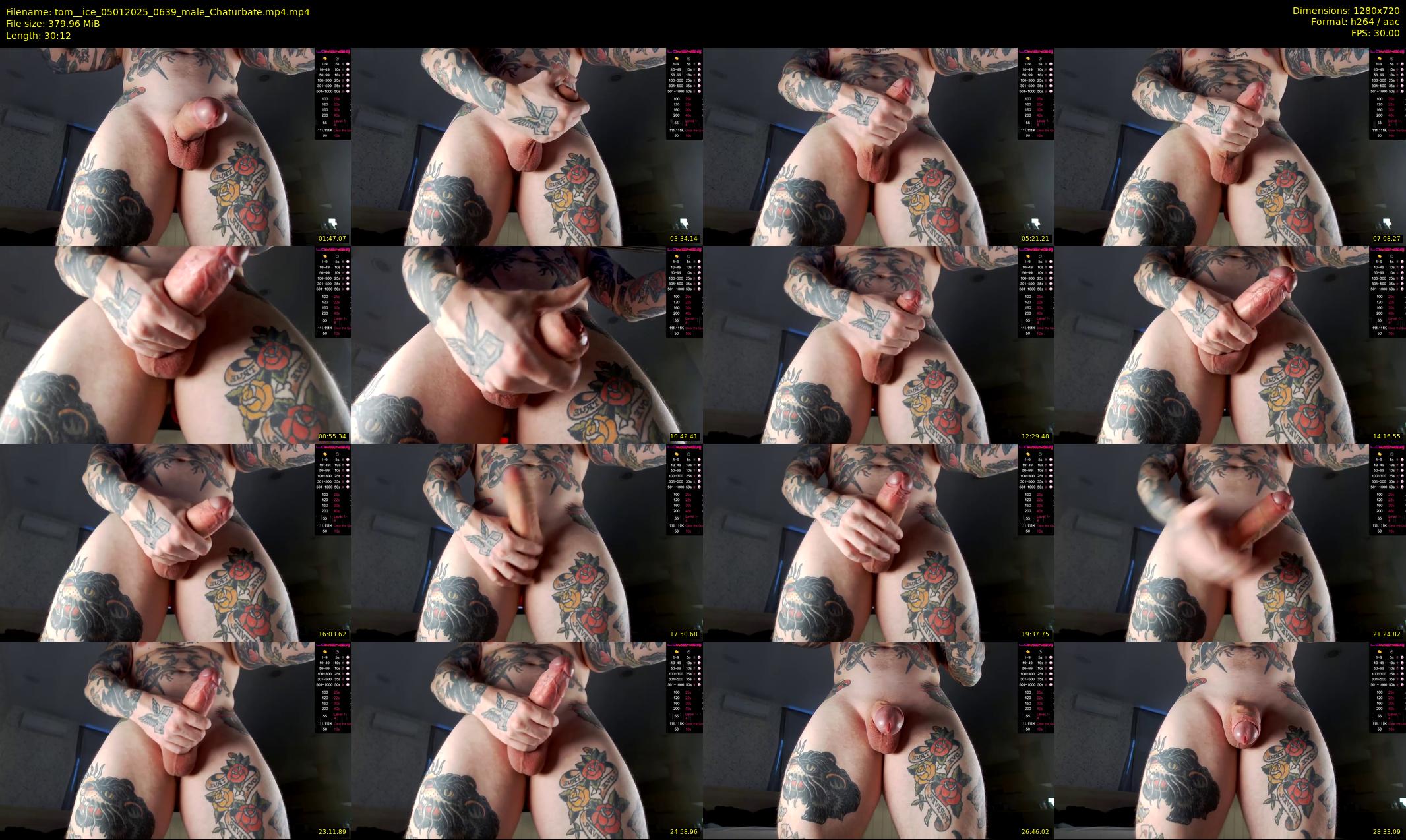 tom__ice — 31 minute Chaturbate male cam show recording, 720p, Jan 5, 2025