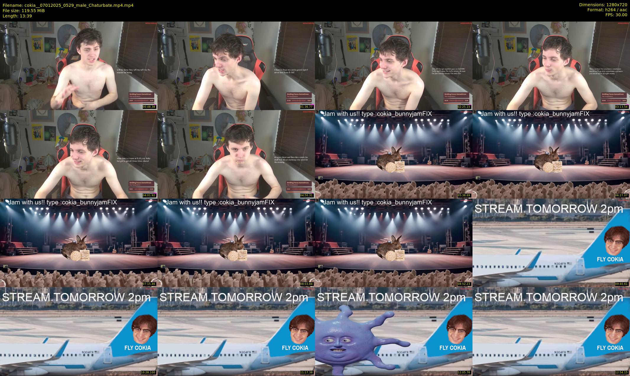 cokia_ — 14 minute Chaturbate male cam show recording, 720p, Jan 7, 2025