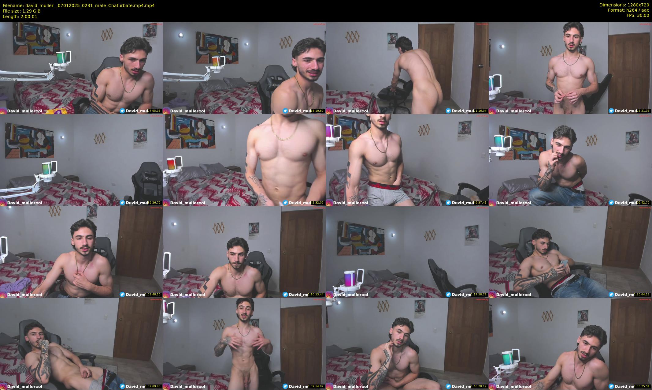 david_muller_ — 121 minute Chaturbate male cam show recording, 720p, Jan 7, 2025