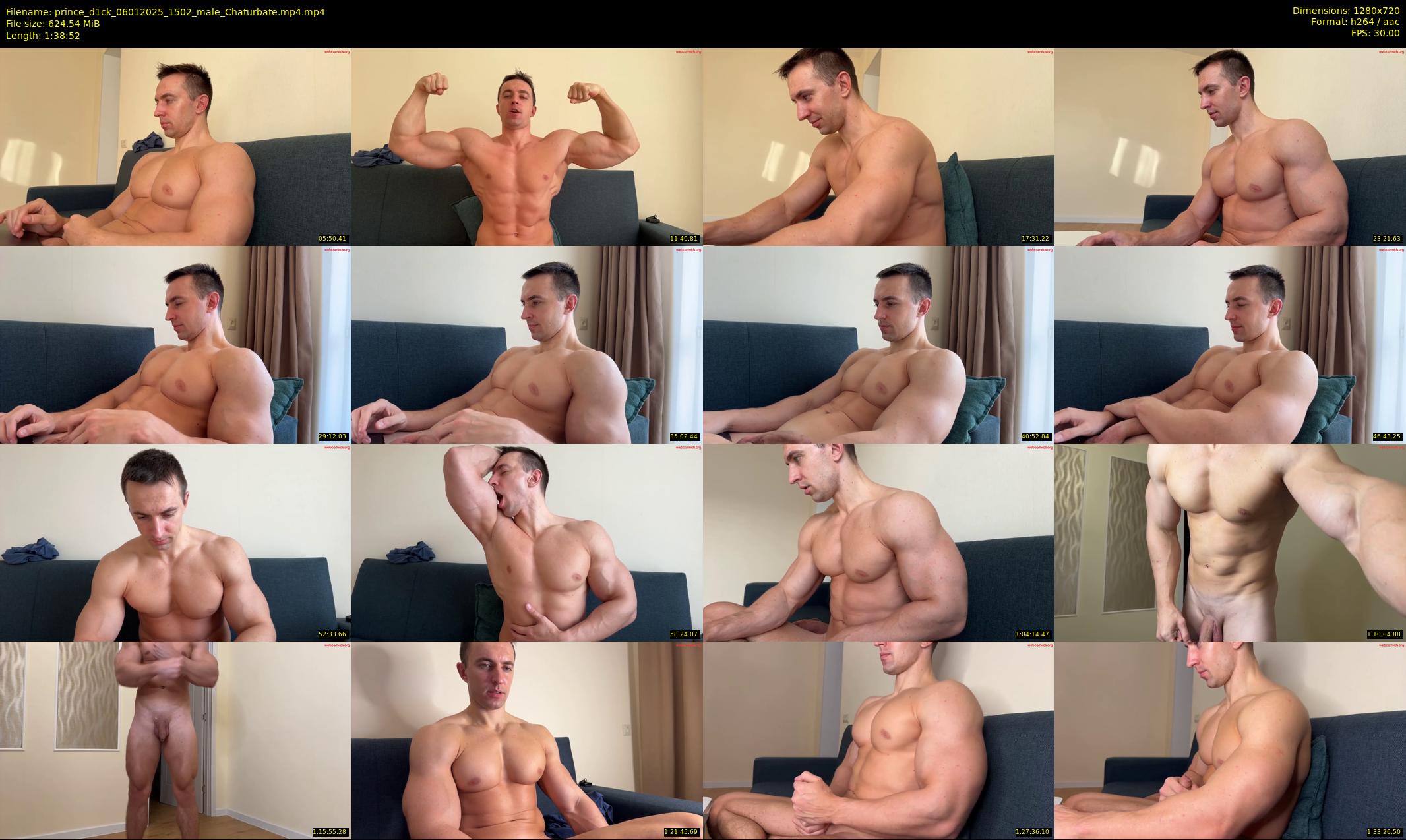 prince_d1ck — 99 minute Chaturbate male cam show recording, 720p, Jan 6, 2025