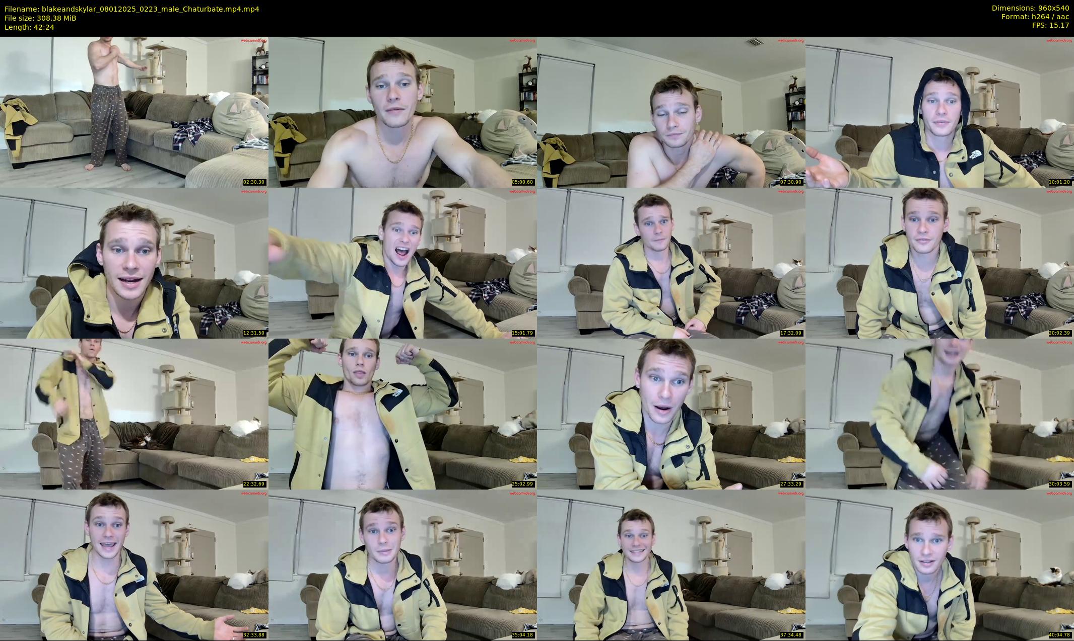 blakeandskylar — 43 minute Chaturbate couple cam show recording, 480p, Jan 8, 2025