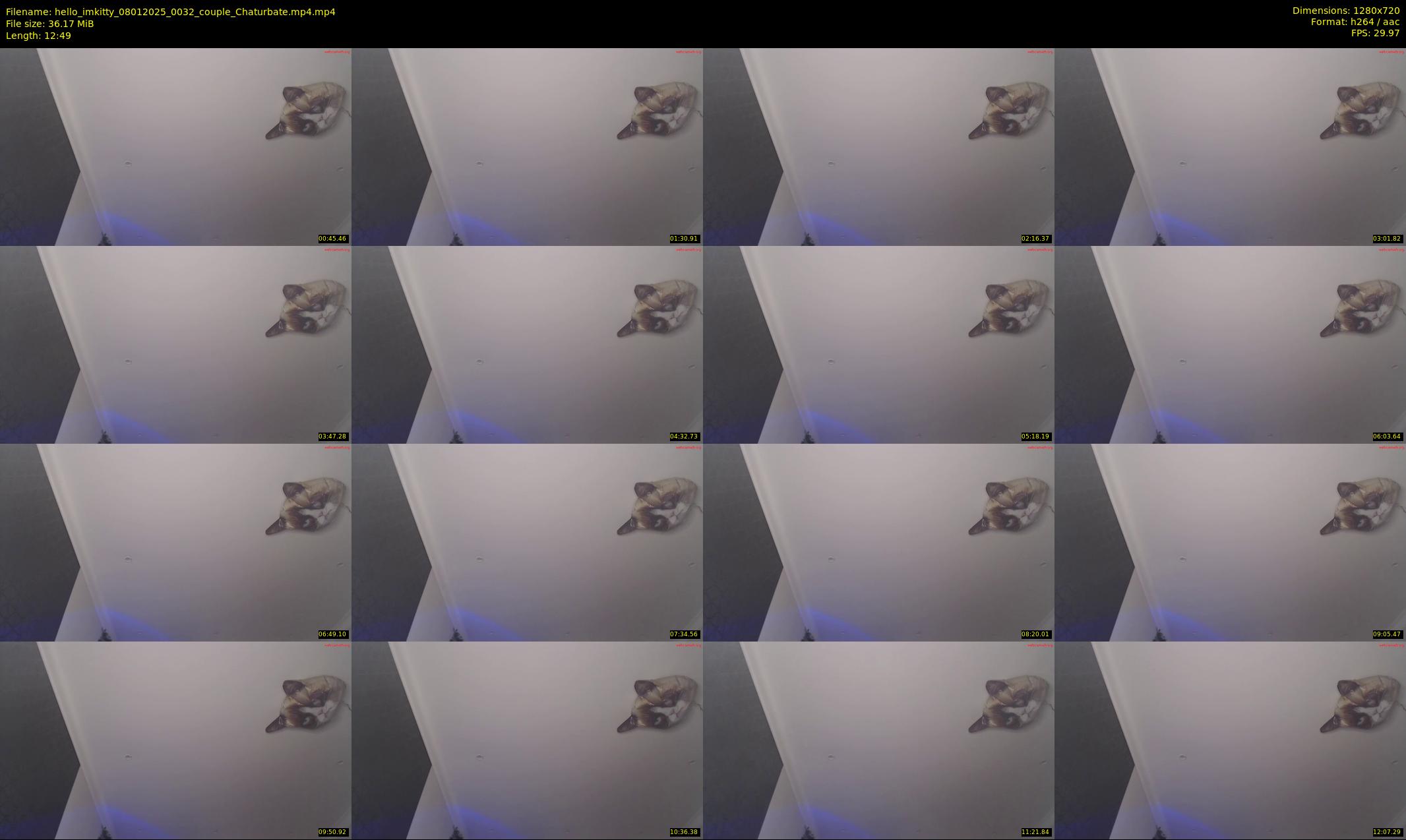 hello_imkitty — 13 minute Chaturbate female cam show recording, 720p, Jan 8, 2025