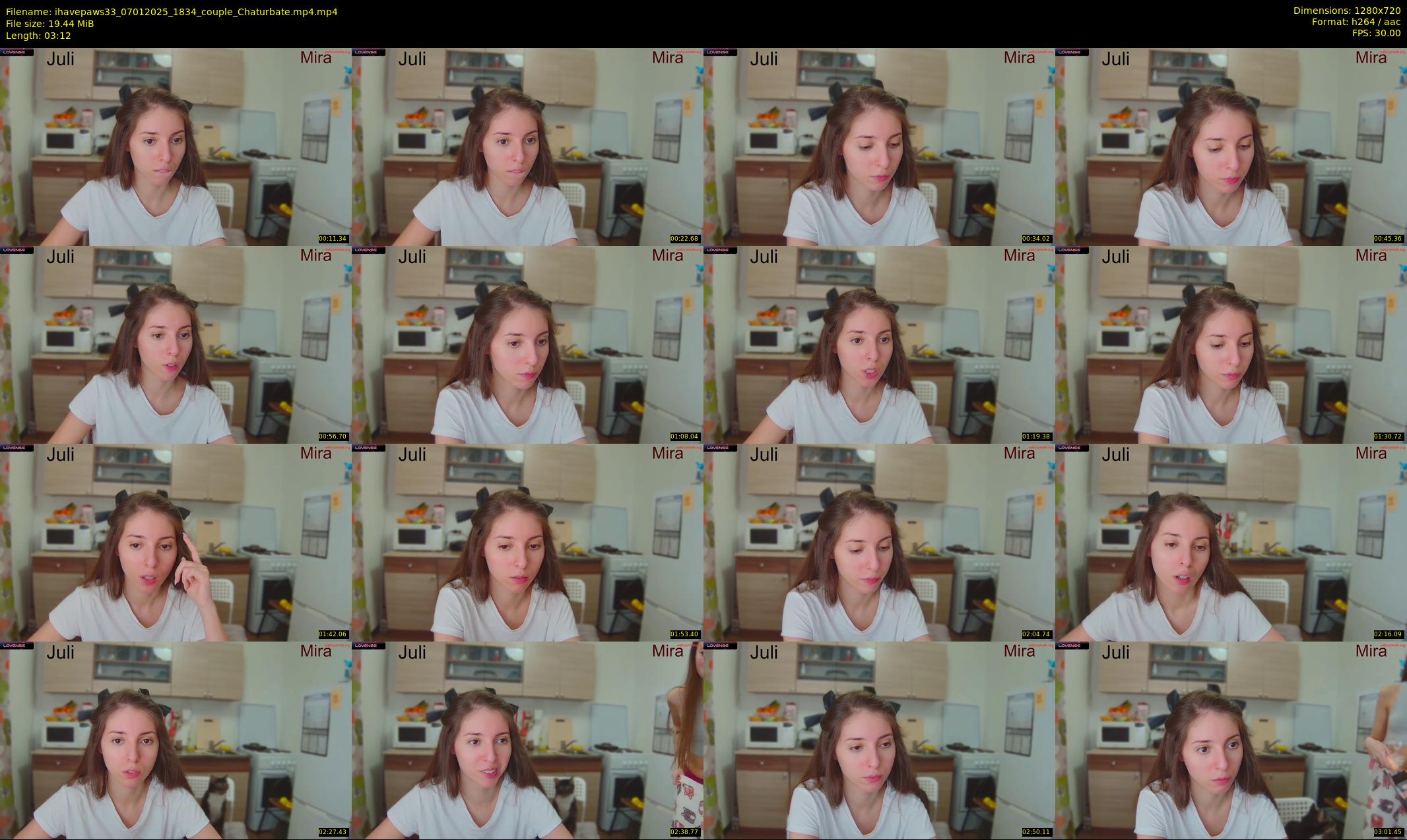 ihavepaws33 — 4 minute Chaturbate couple cam show recording, 720p, Jan 7, 2025