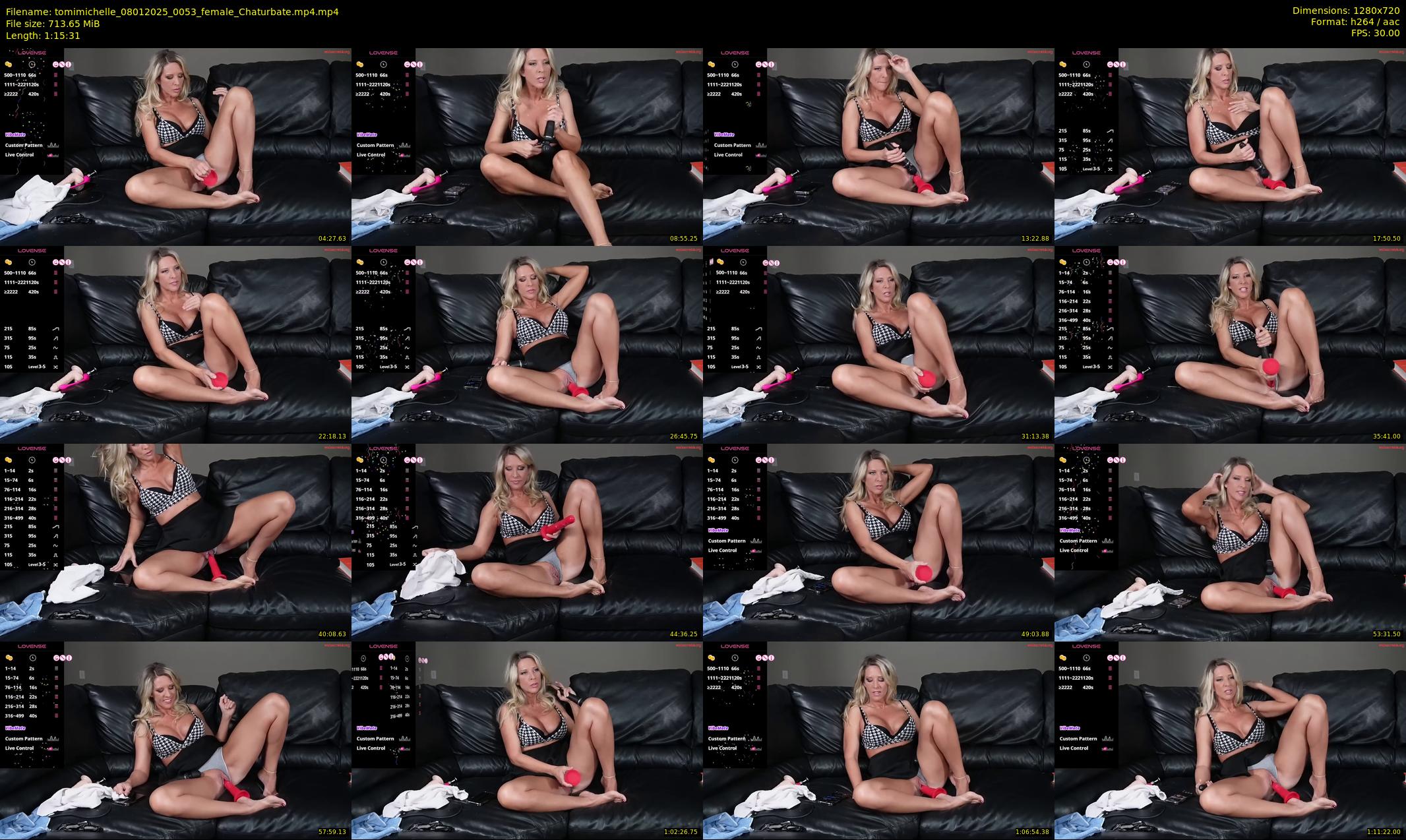 tomimichelle — 76 minute Chaturbate female cam show recording, 720p, Jan 8, 2025