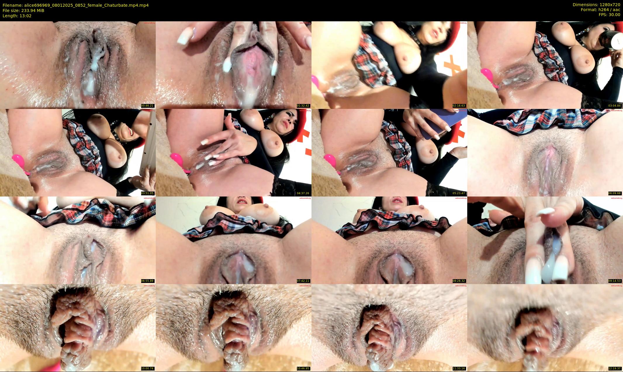 alice696969 — 14 minute Chaturbate female cam show recording, 720p, Jan 8, 2025