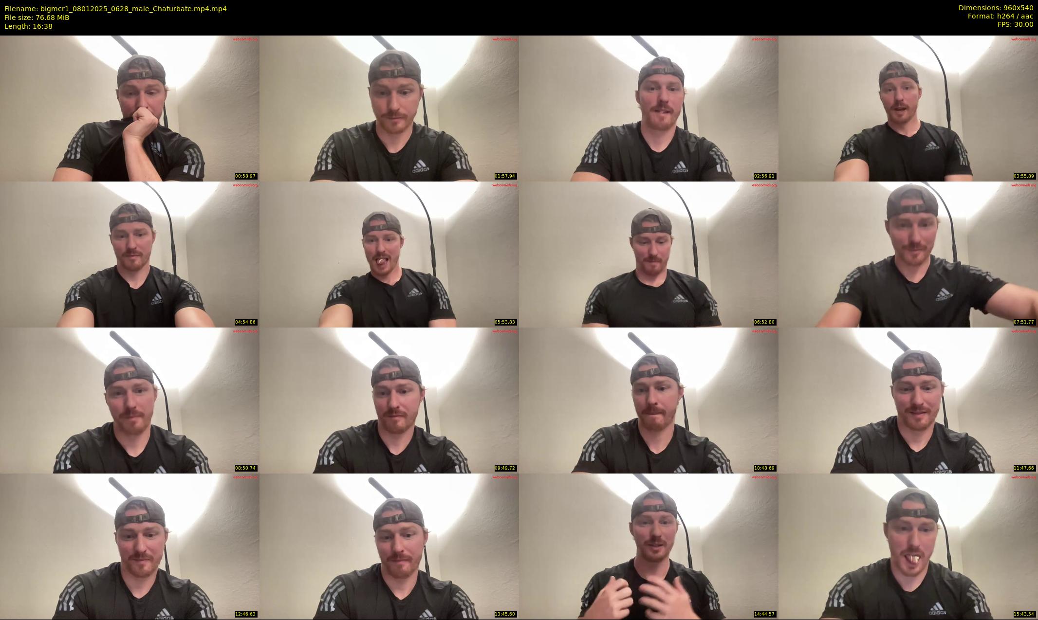 bigmcr1 — 17 minute Chaturbate male cam show recording, 480p, Jan 8, 2025