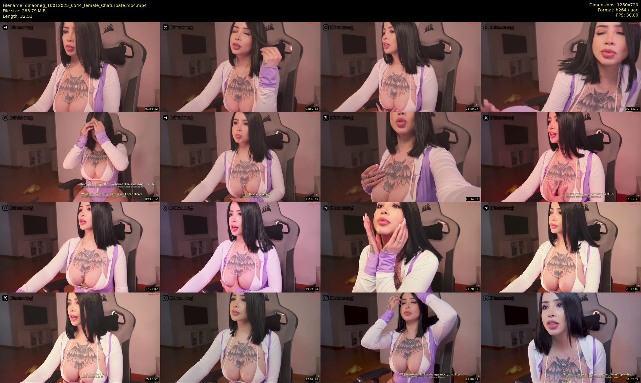 dinaoneg — 33 minute Chaturbate female cam show recording, 720p, Jan 10, 2025