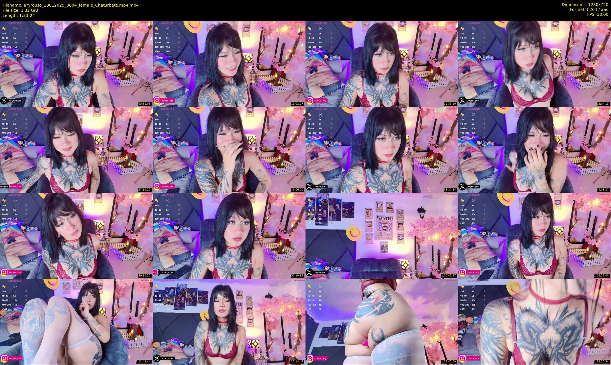 aryrouse — 94 minute Chaturbate female cam show recording, 720p, Jan 10, 2025