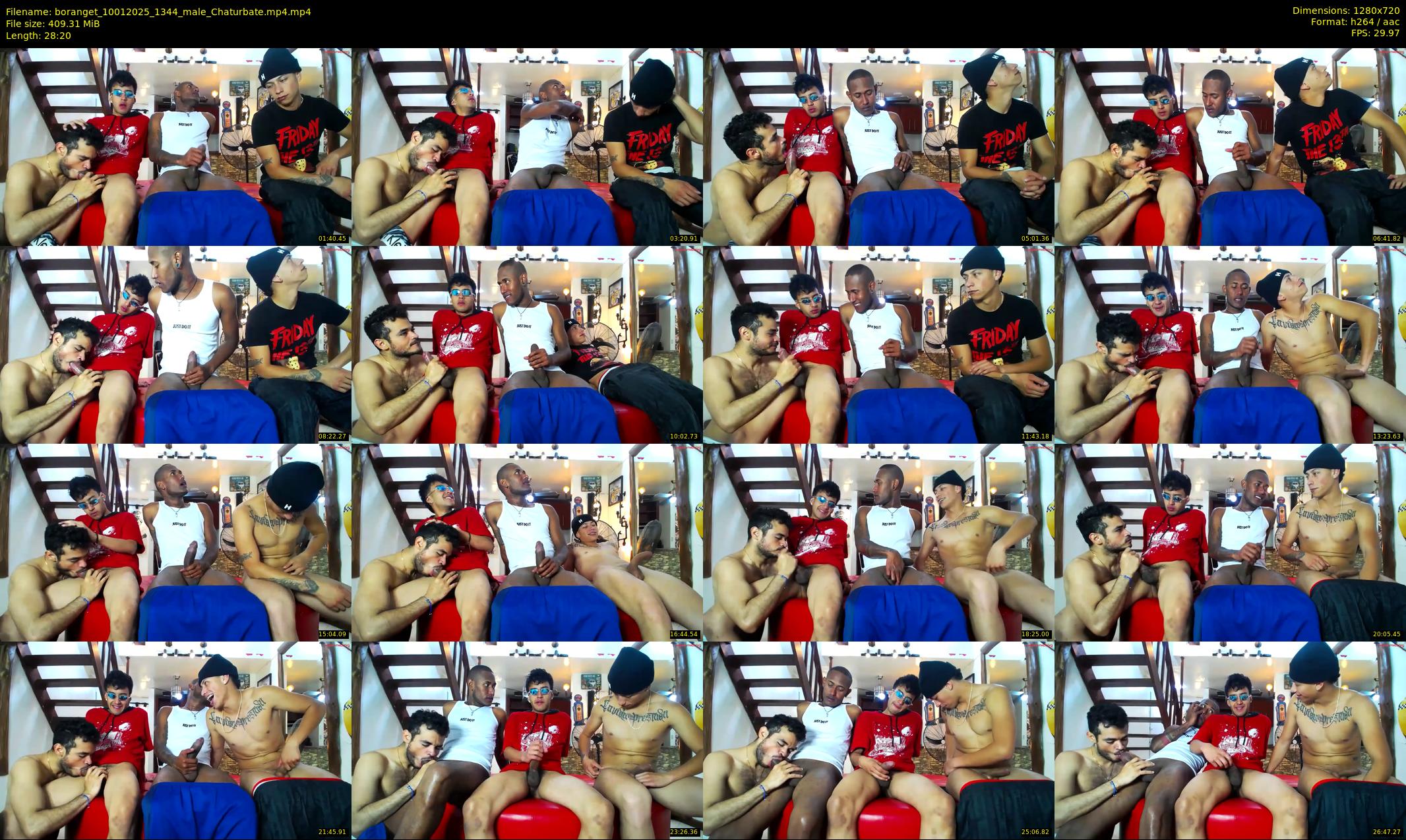boranget — 29 minute Chaturbate male cam show recording, 720p, Jan 10, 2025