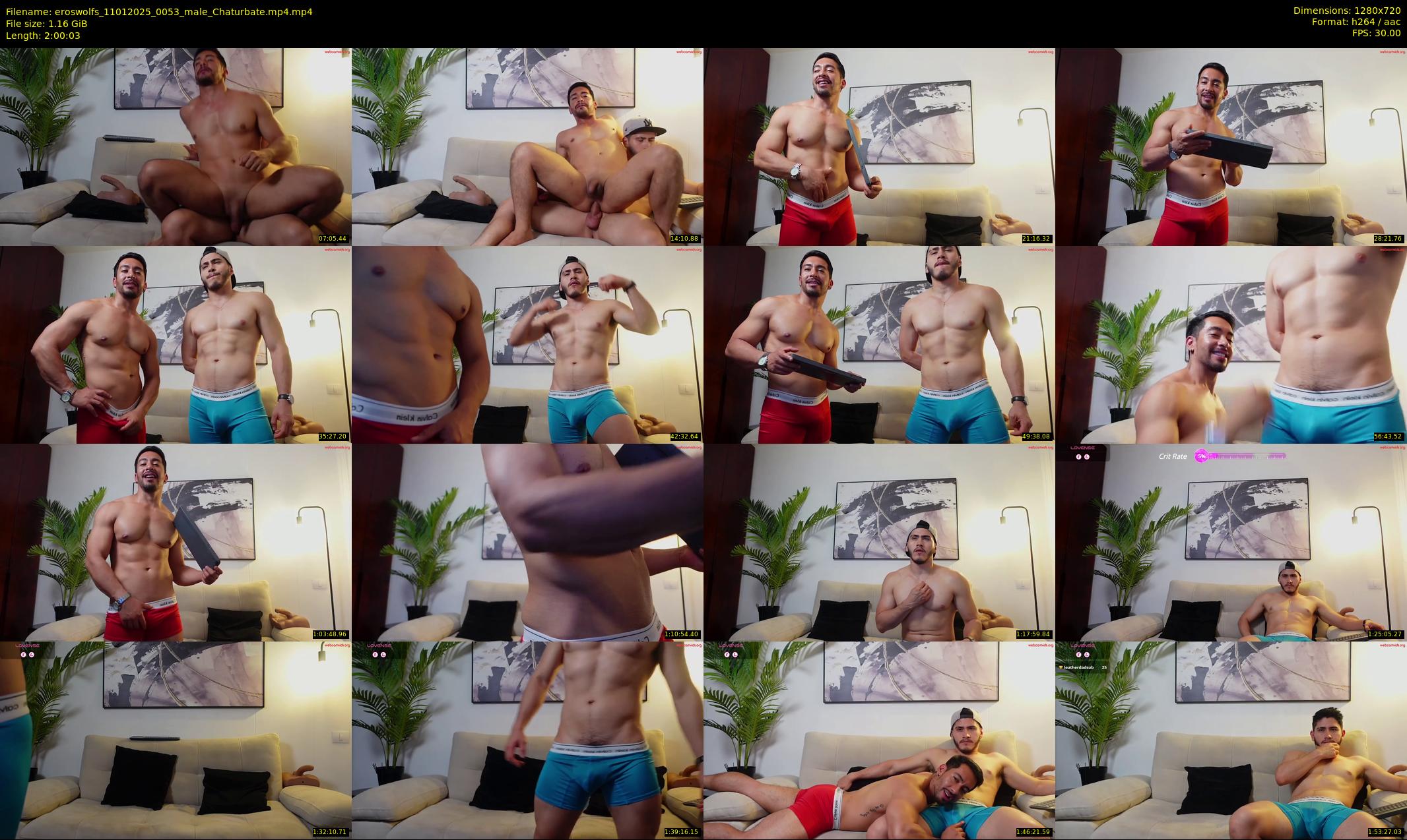 eroswolfs — 121 minute Chaturbate male cam show recording, 720p, Jan 11, 2025