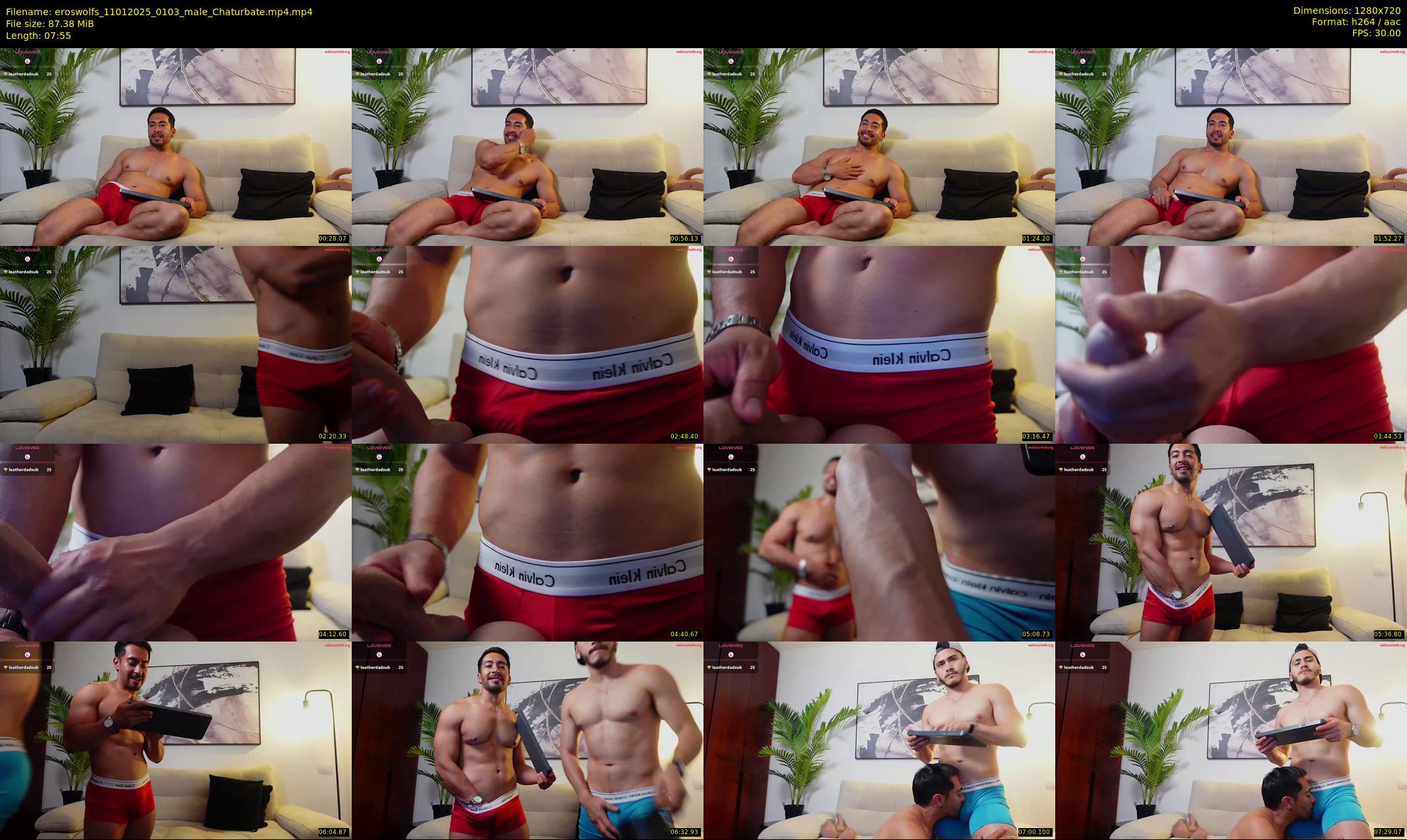 eroswolfs — 8 minute Chaturbate male cam show recording, 720p, Jan 11, 2025