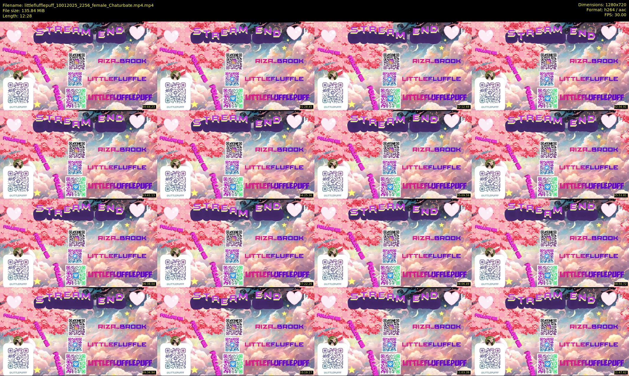 littleflufflepuff — 13 minute Chaturbate female cam show recording, 720p, Jan 10, 2025