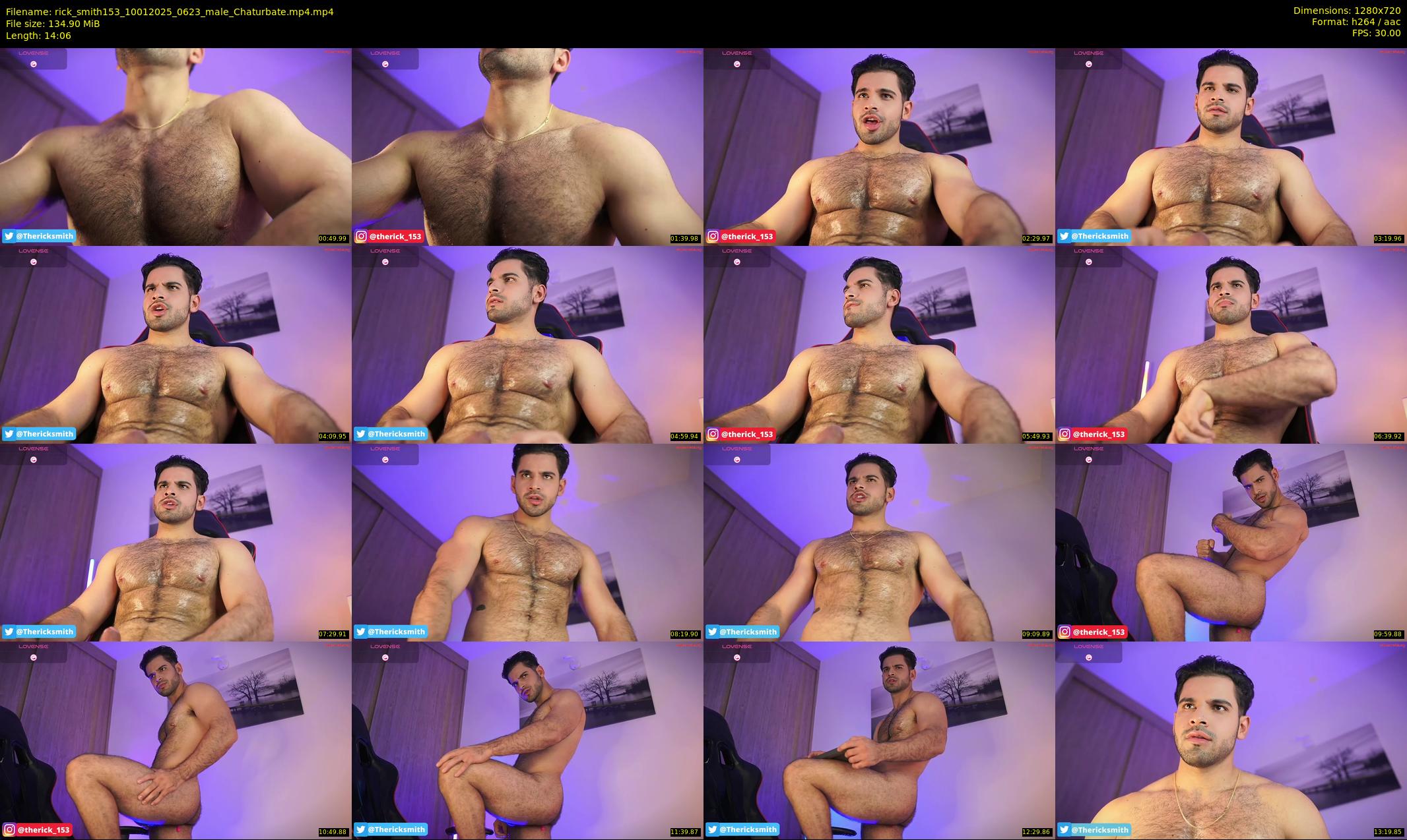 rick_smith153 — 15 minute Chaturbate male cam show recording, 720p, Jan 10, 2025