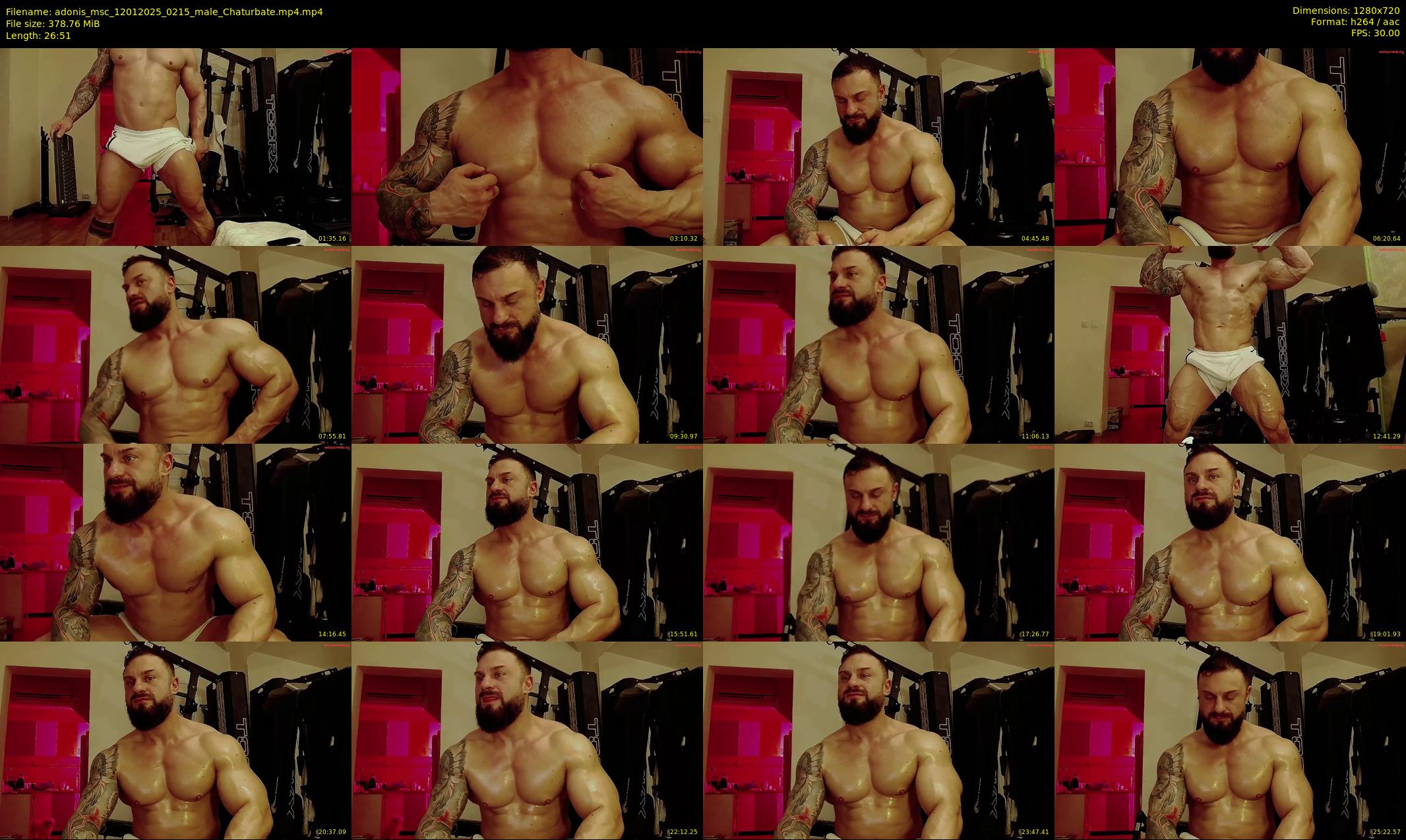 adonis_msc — 27 minute Chaturbate male cam show recording, 720p, Jan 12, 2025