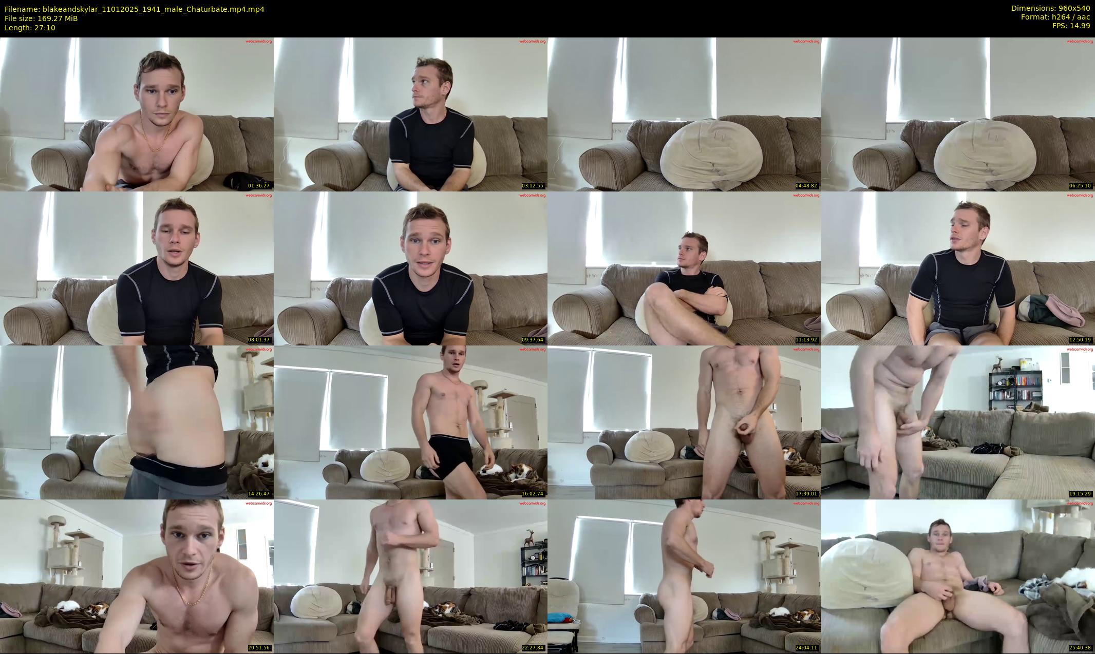 blakeandskylar — 28 minute Chaturbate couple cam show recording, 480p, Jan 11, 2025