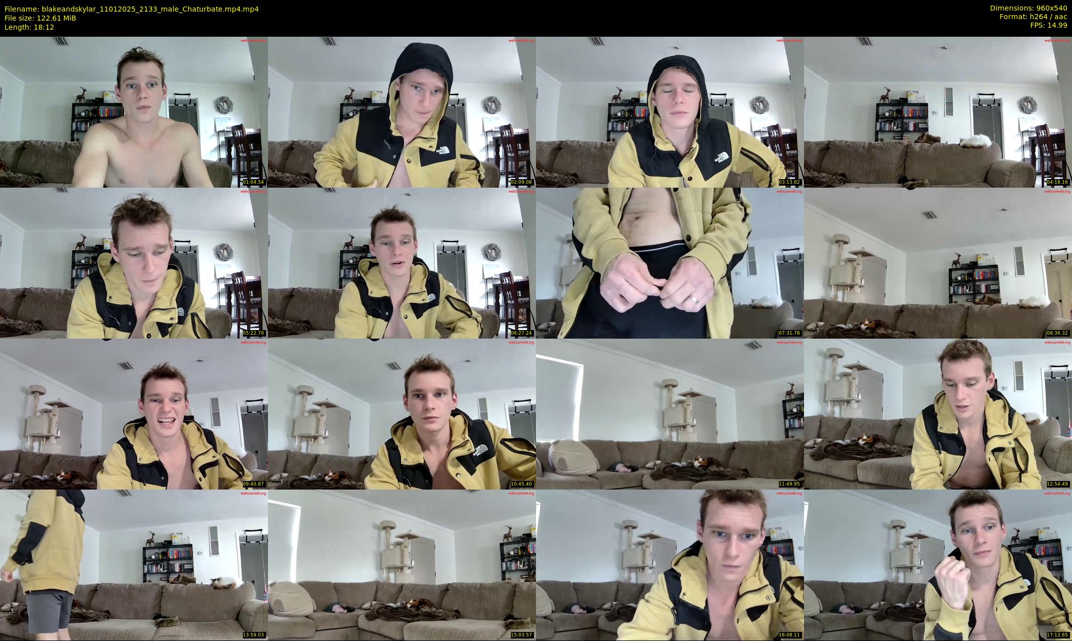 blakeandskylar — 19 minute Chaturbate couple cam show recording, 480p, Jan 11, 2025