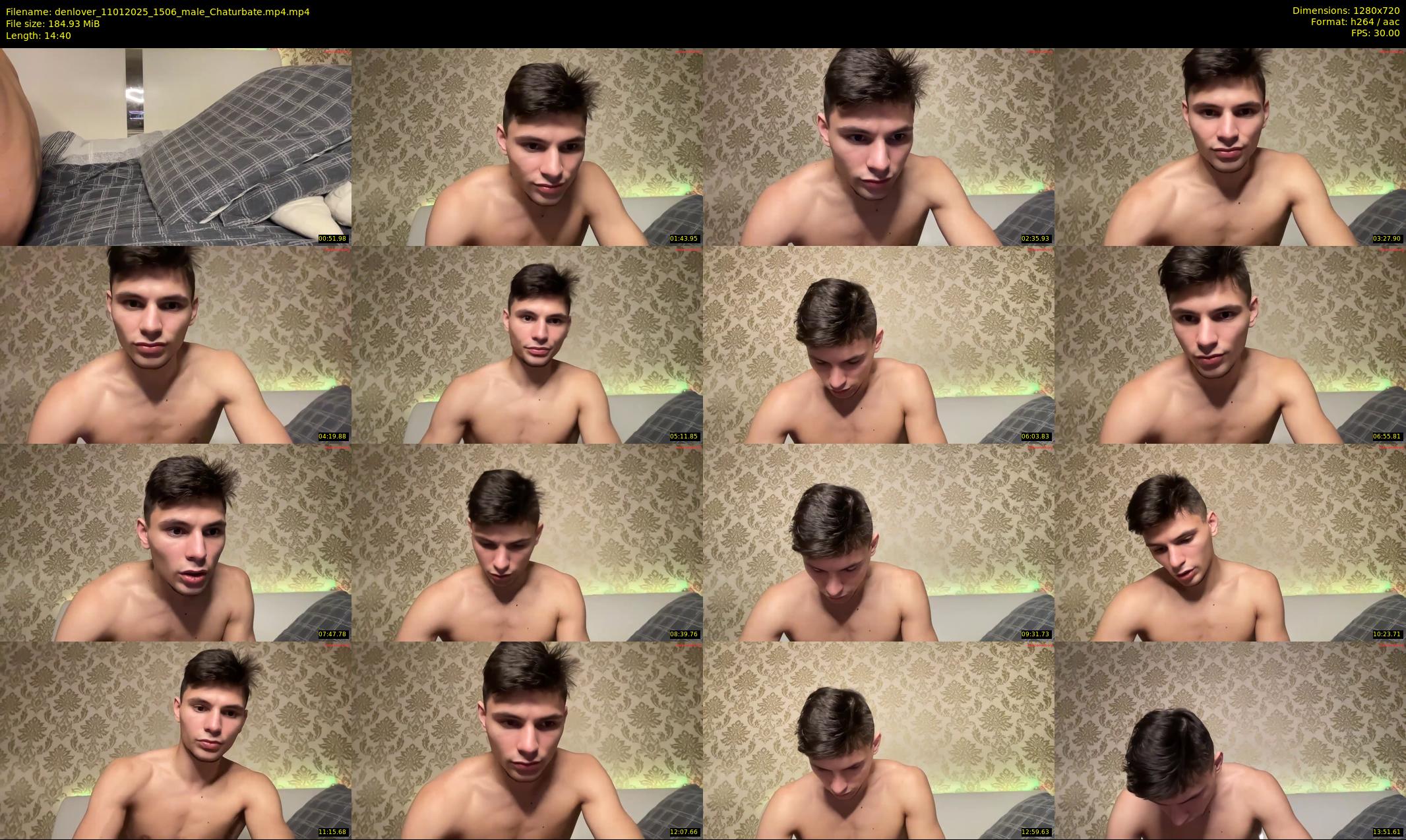 denlover — 15 minute Chaturbate male cam show recording, 720p, Jan 11, 2025