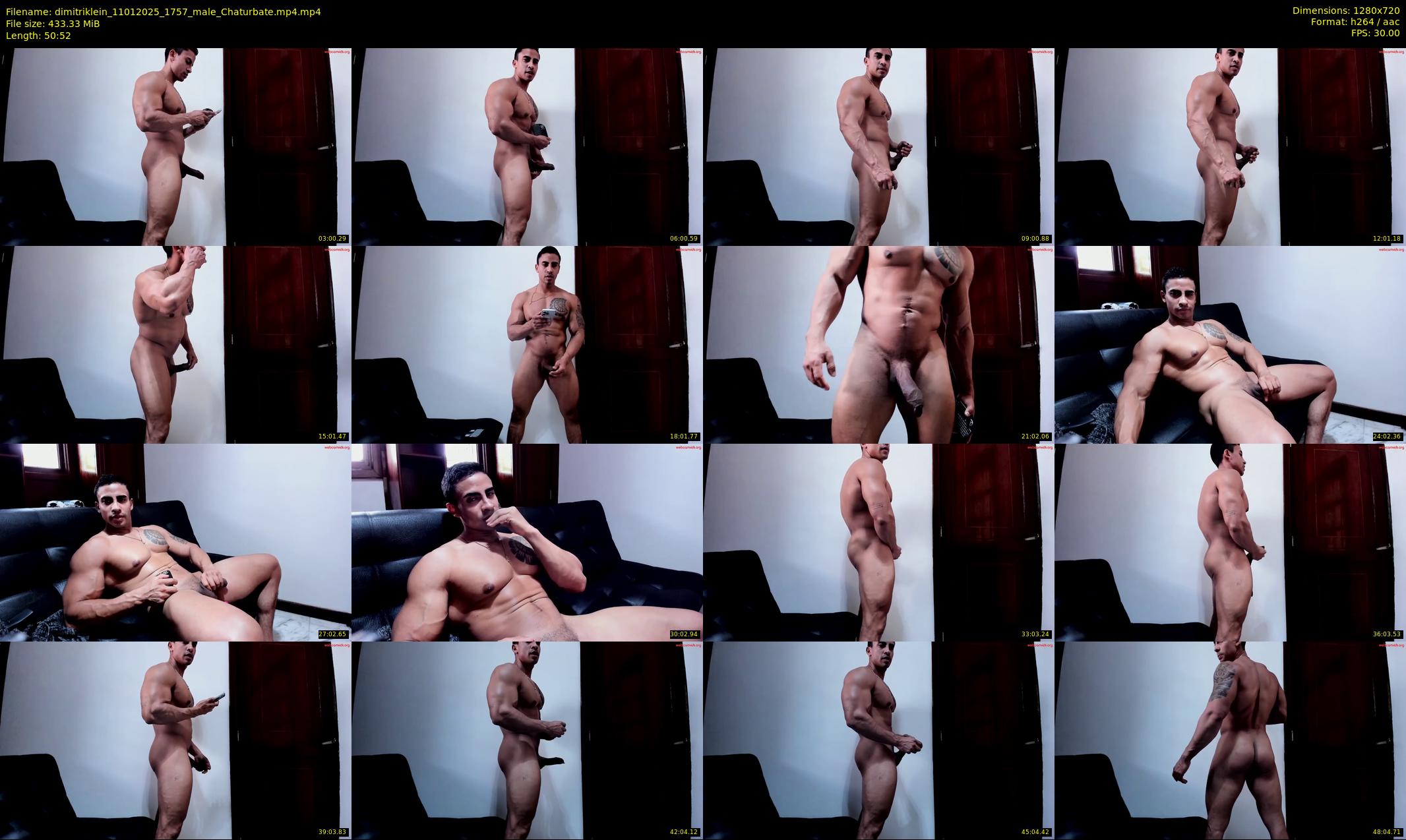 dimitriklein — 51 minute Chaturbate male cam show recording, 720p, Jan 11, 2025