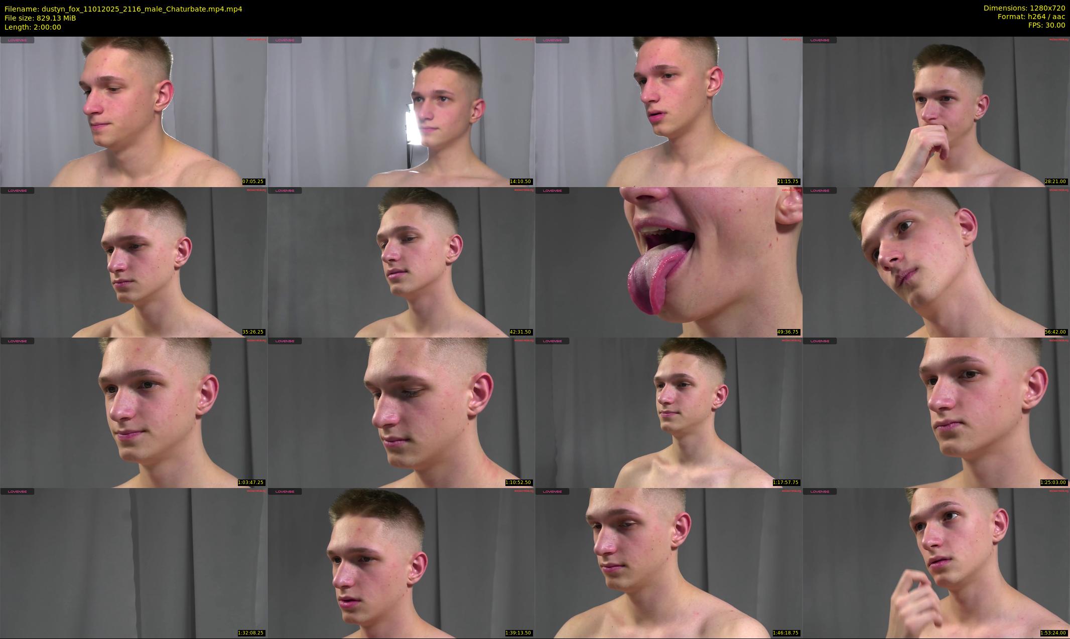 dustyn_fox — 120 minute Chaturbate male cam show recording, 720p, Jan 11, 2025