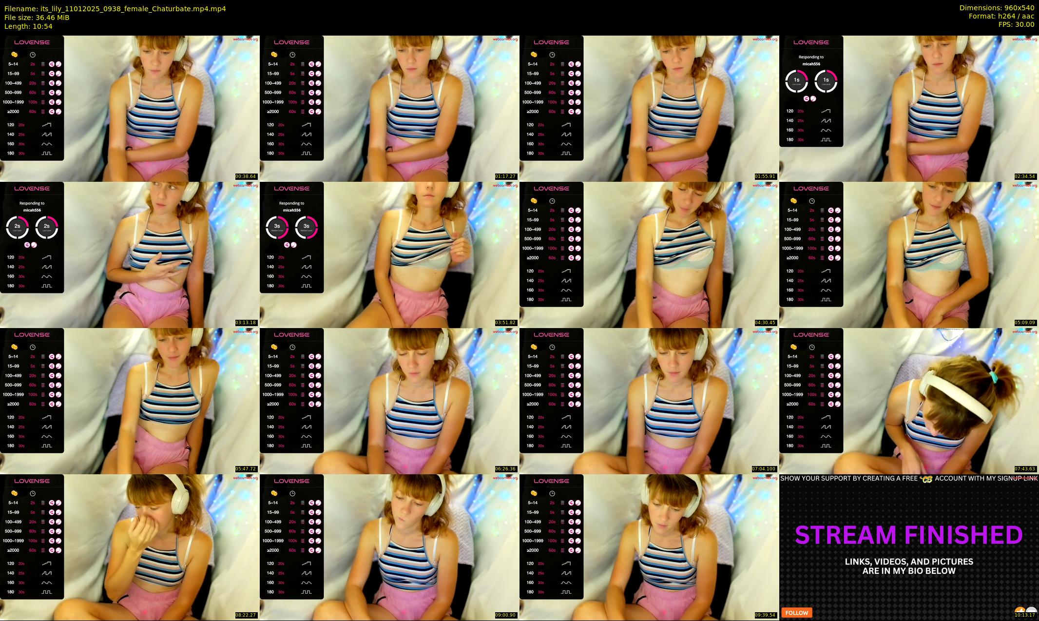 its_lily — 11 minute Chaturbate female cam show recording, 480p, Jan 11, 2025