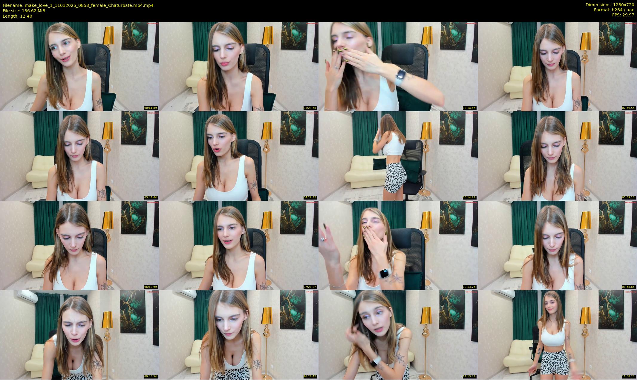 make_love_1 — 13 minute Chaturbate female cam show recording, 720p, Jan 11, 2025
