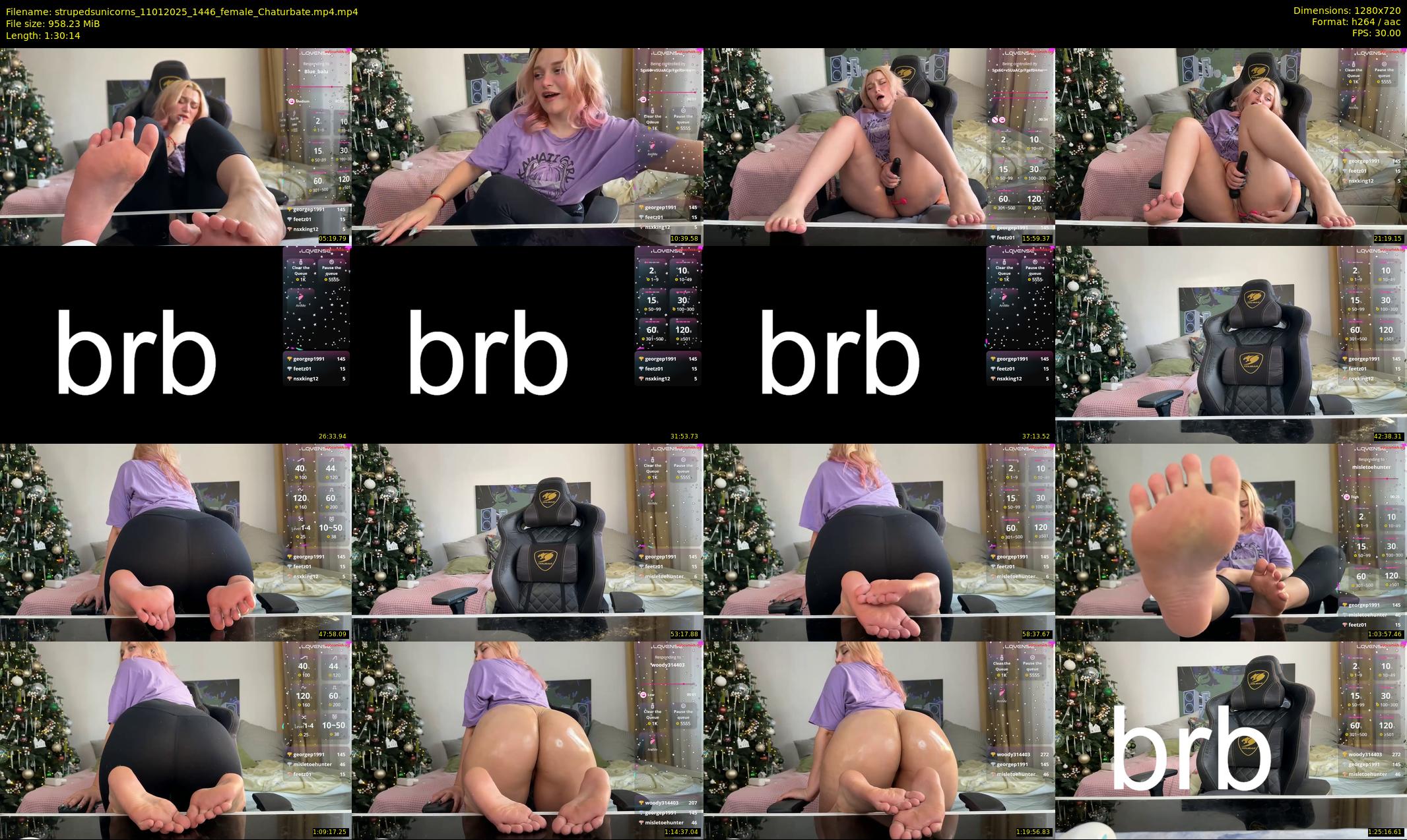 strupedsunicorns — 91 minute Chaturbate couple cam show recording, 720p, Jan 11, 2025