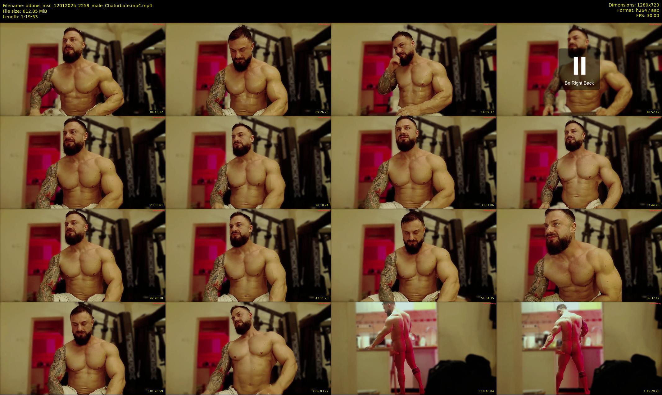 adonis_msc — 80 minute Chaturbate male cam show recording, 720p, Jan 12, 2025