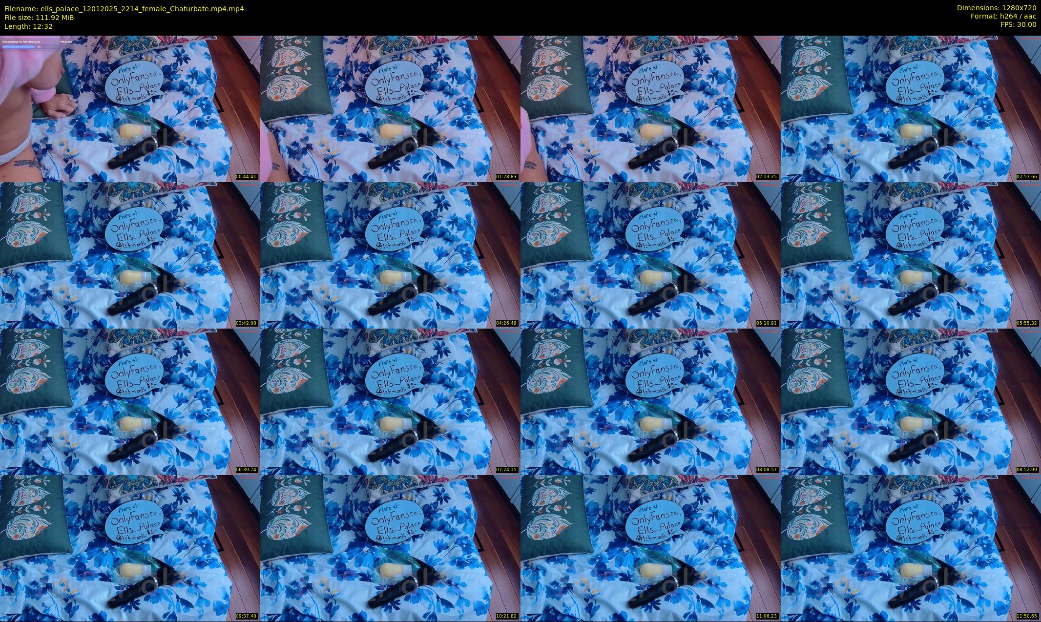 ells_palace — 13 minute Chaturbate female cam show recording, 720p, Jan 12, 2025