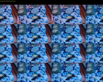ells_palace — 13 minute Chaturbate female cam show recording, 720p, Jan 12, 2025