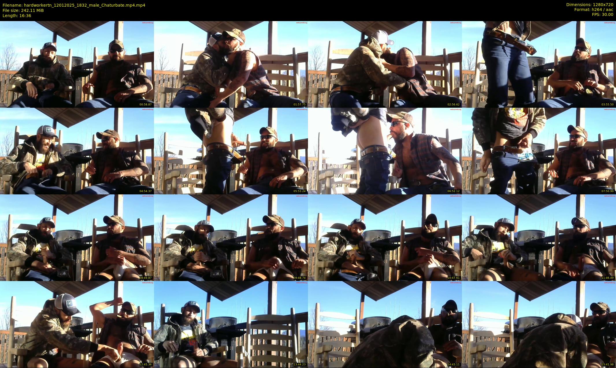 hardworkertn — 17 minute Chaturbate male cam show recording, 720p, Jan 12, 2025
