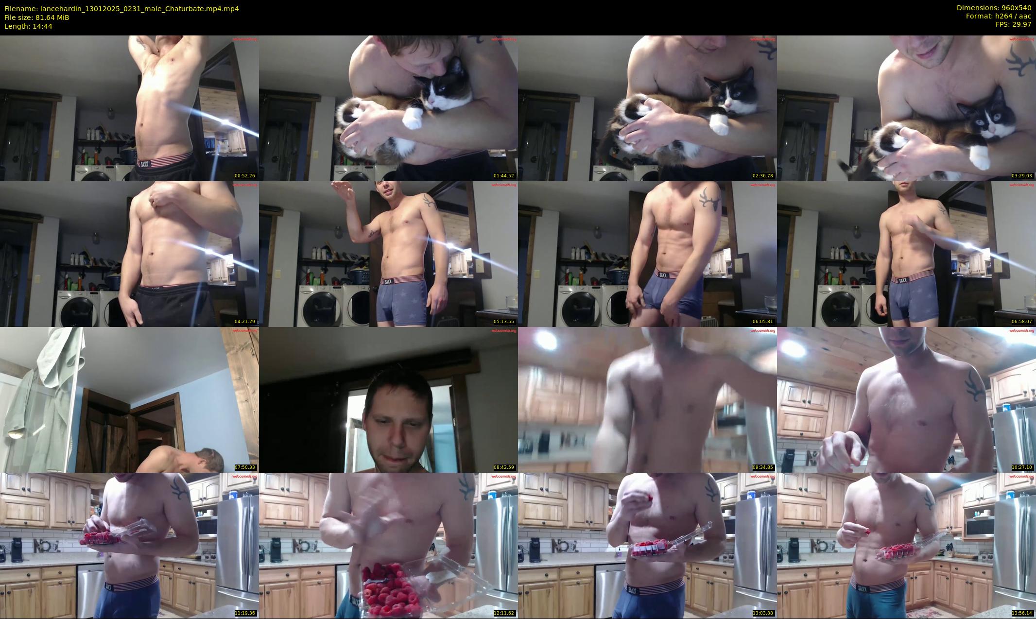 lancehardin — 15 minute Chaturbate male cam show recording, 480p, Jan 13, 2025