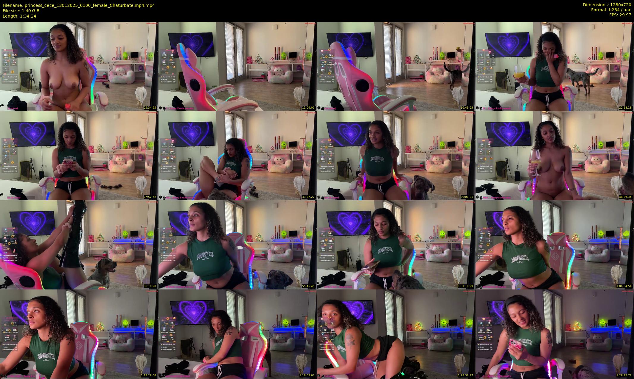 princess_cece — 95 minute Chaturbate female cam show recording, 720p, Jan 13, 2025