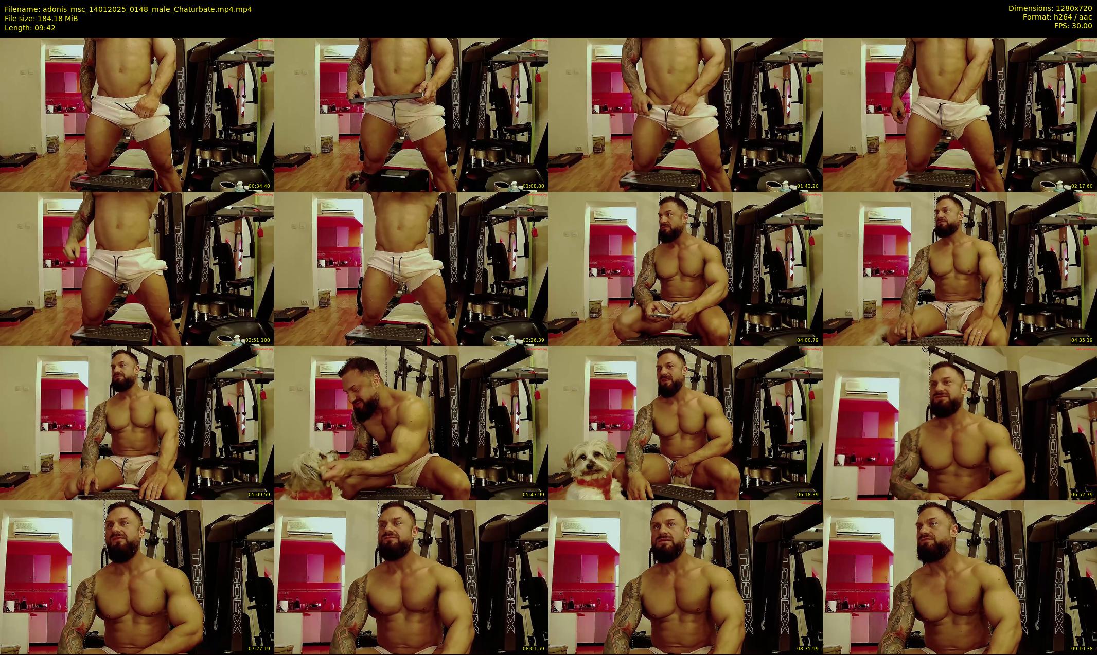 adonis_msc — 10 minute Chaturbate male cam show recording, 720p, Jan 14, 2025