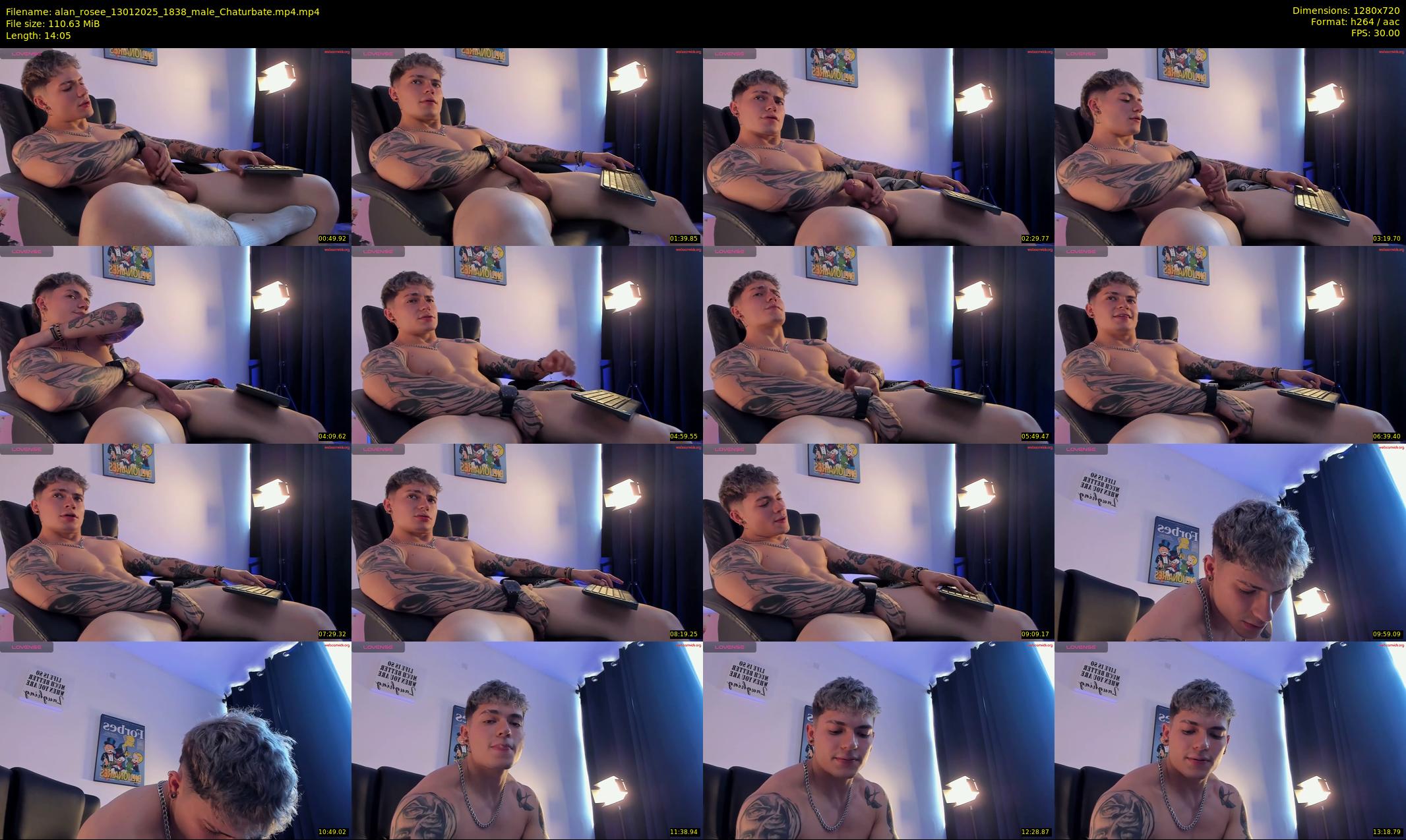 alan_rosee — 15 minute Chaturbate male cam show recording, 720p, Jan 13, 2025