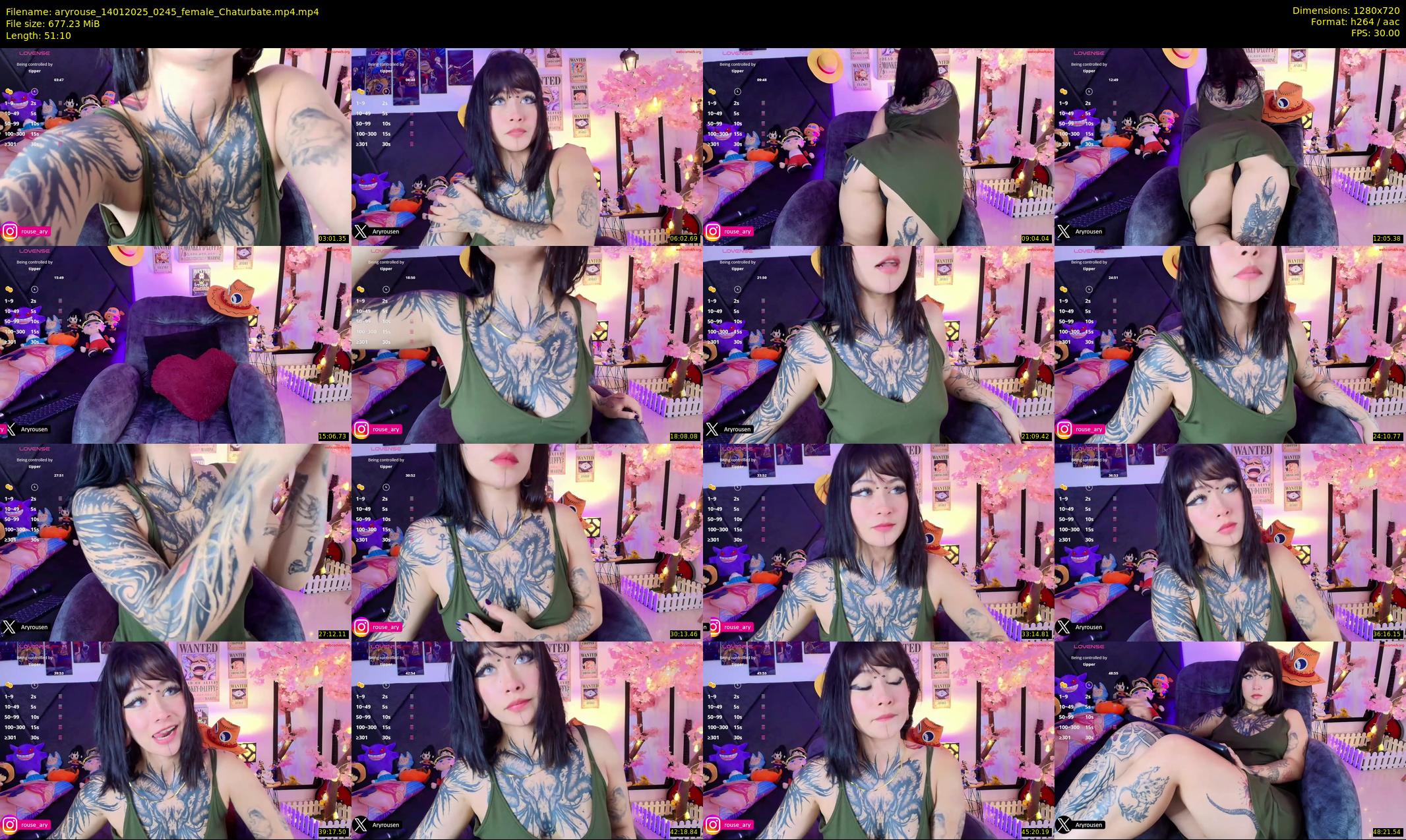 aryrouse — 52 minute Chaturbate female cam show recording, 720p, Jan 14, 2025