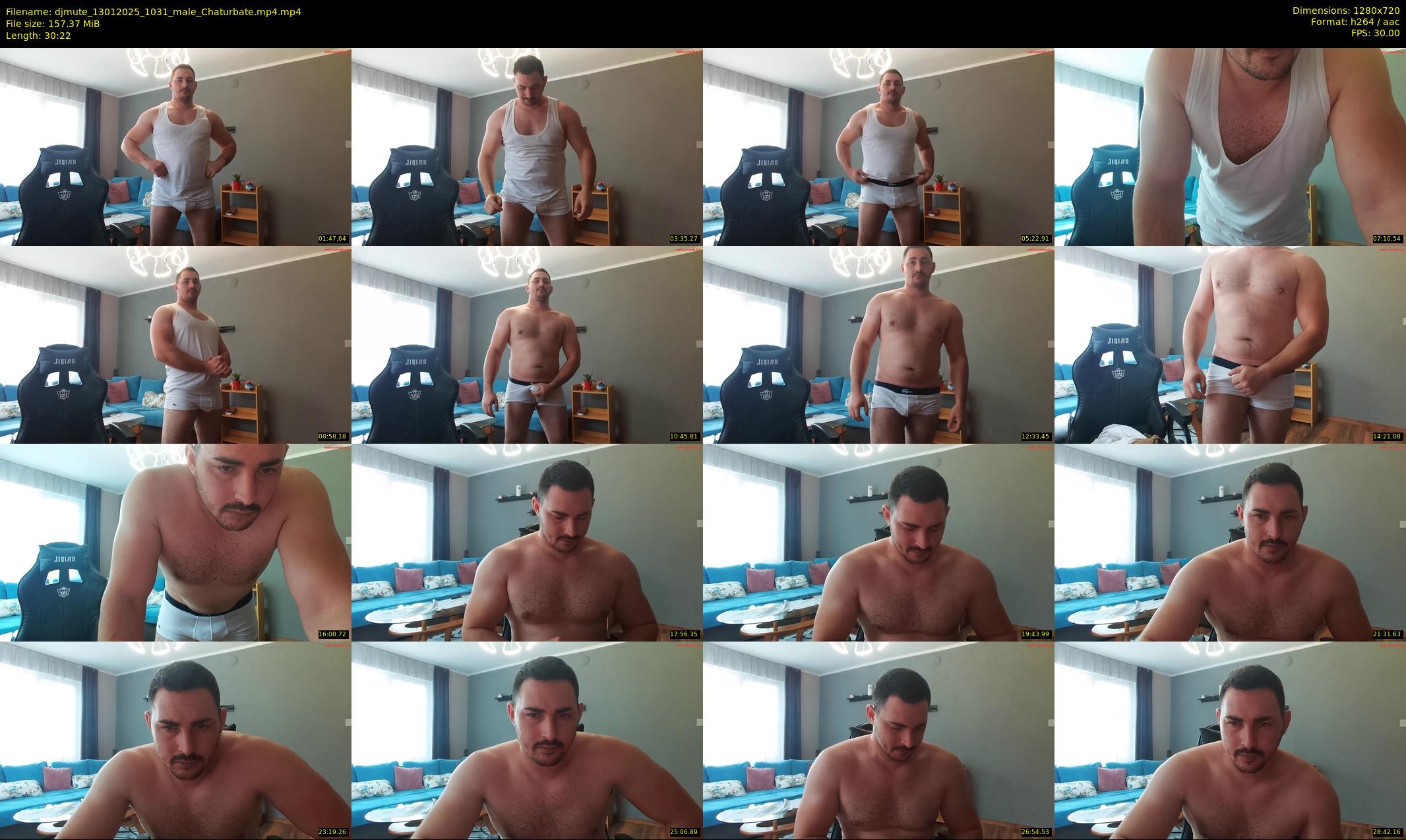 djmute — 31 minute Chaturbate male cam show recording, 720p, Jan 13, 2025