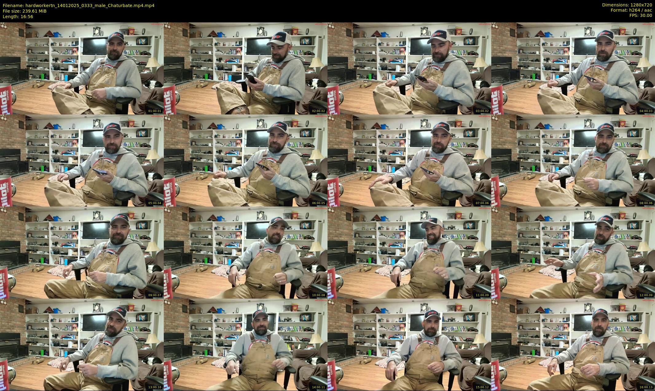 hardworkertn — 17 minute Chaturbate male cam show recording, 720p, Jan 14, 2025