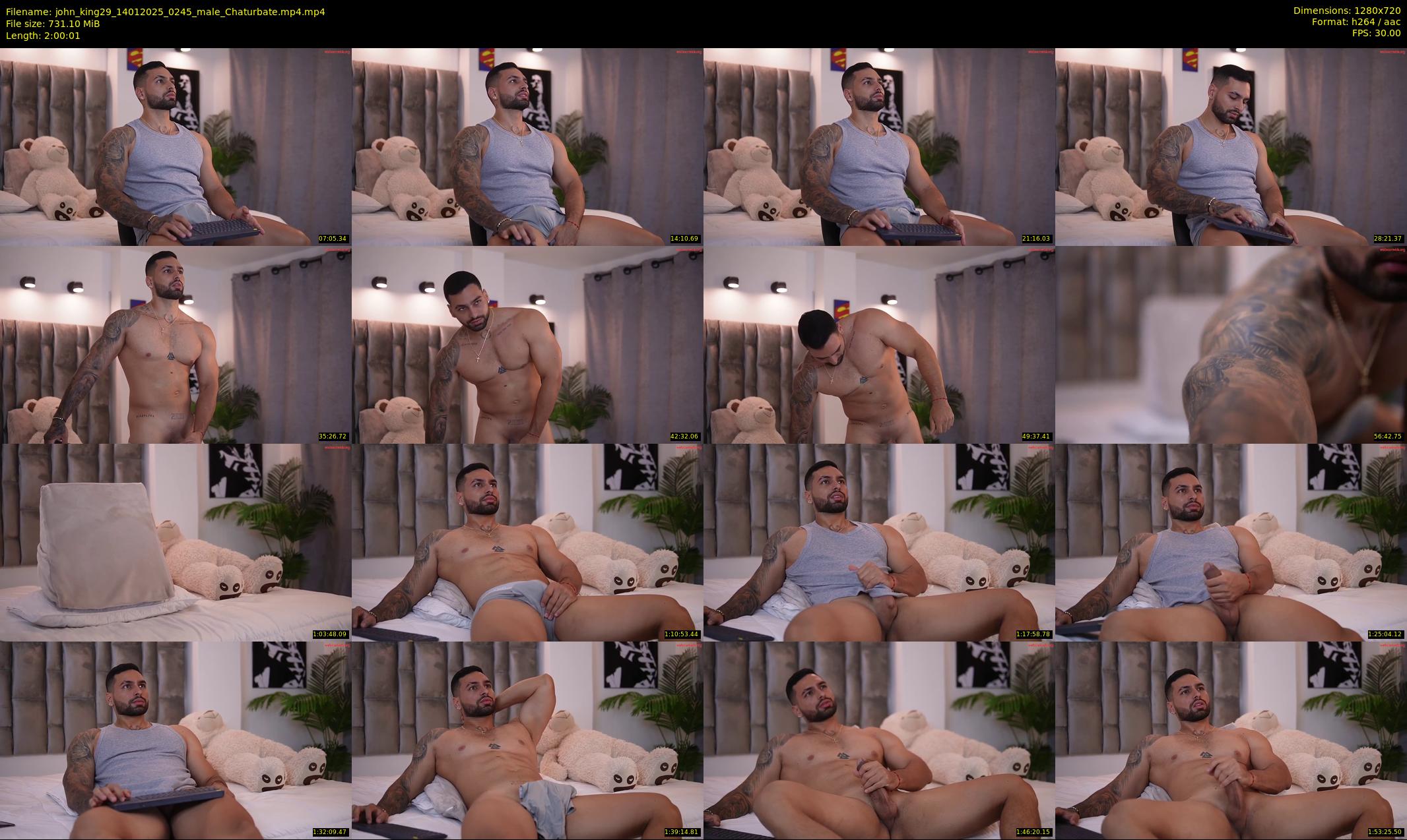john_king29 — 121 minute Chaturbate male cam show recording, 720p, Jan 14, 2025