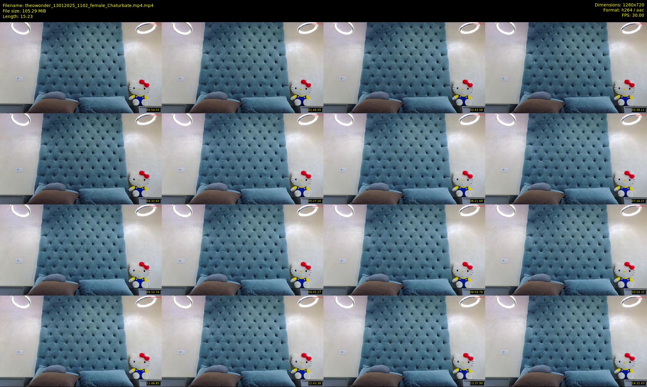 theowonder — 16 minute Chaturbate female cam show recording, 720p, Jan 13, 2025