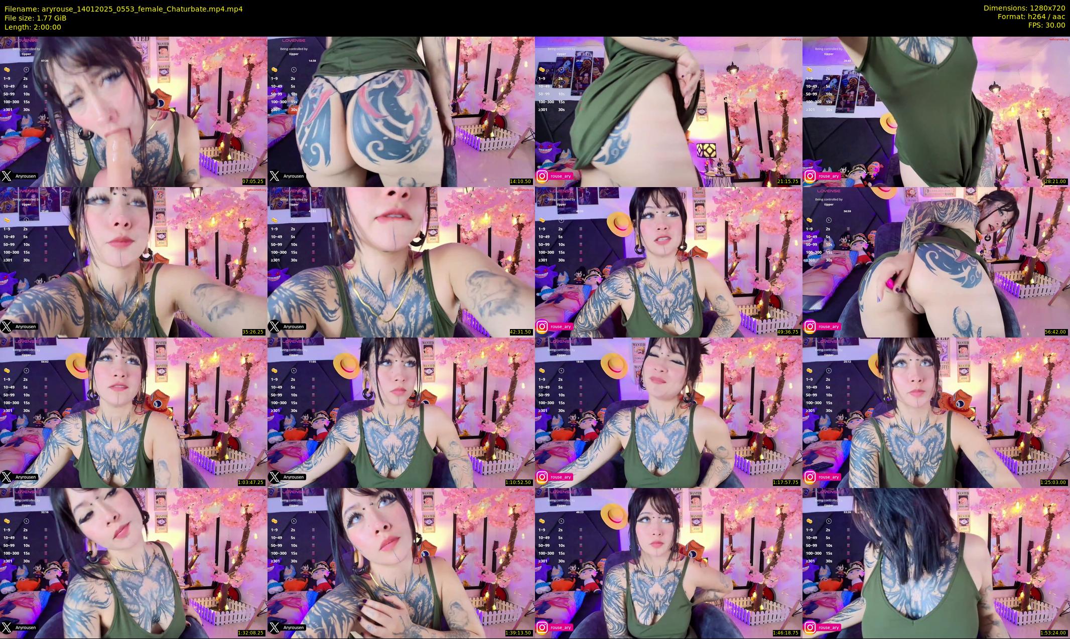 aryrouse — 120 minute Chaturbate female cam show recording, 720p, Jan 14, 2025