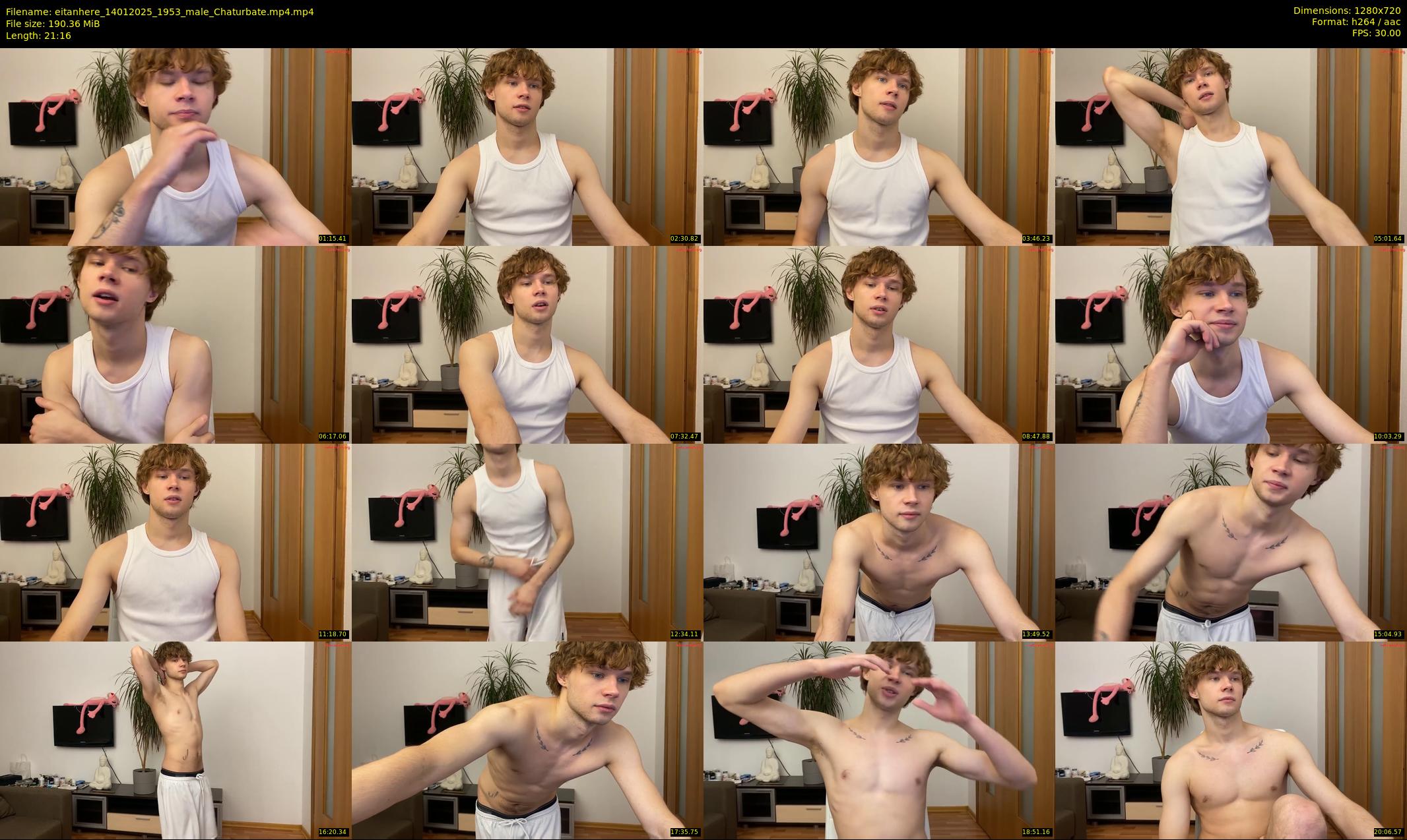 eitanhere — 22 minute Chaturbate male cam show recording, 720p, Jan 14, 2025